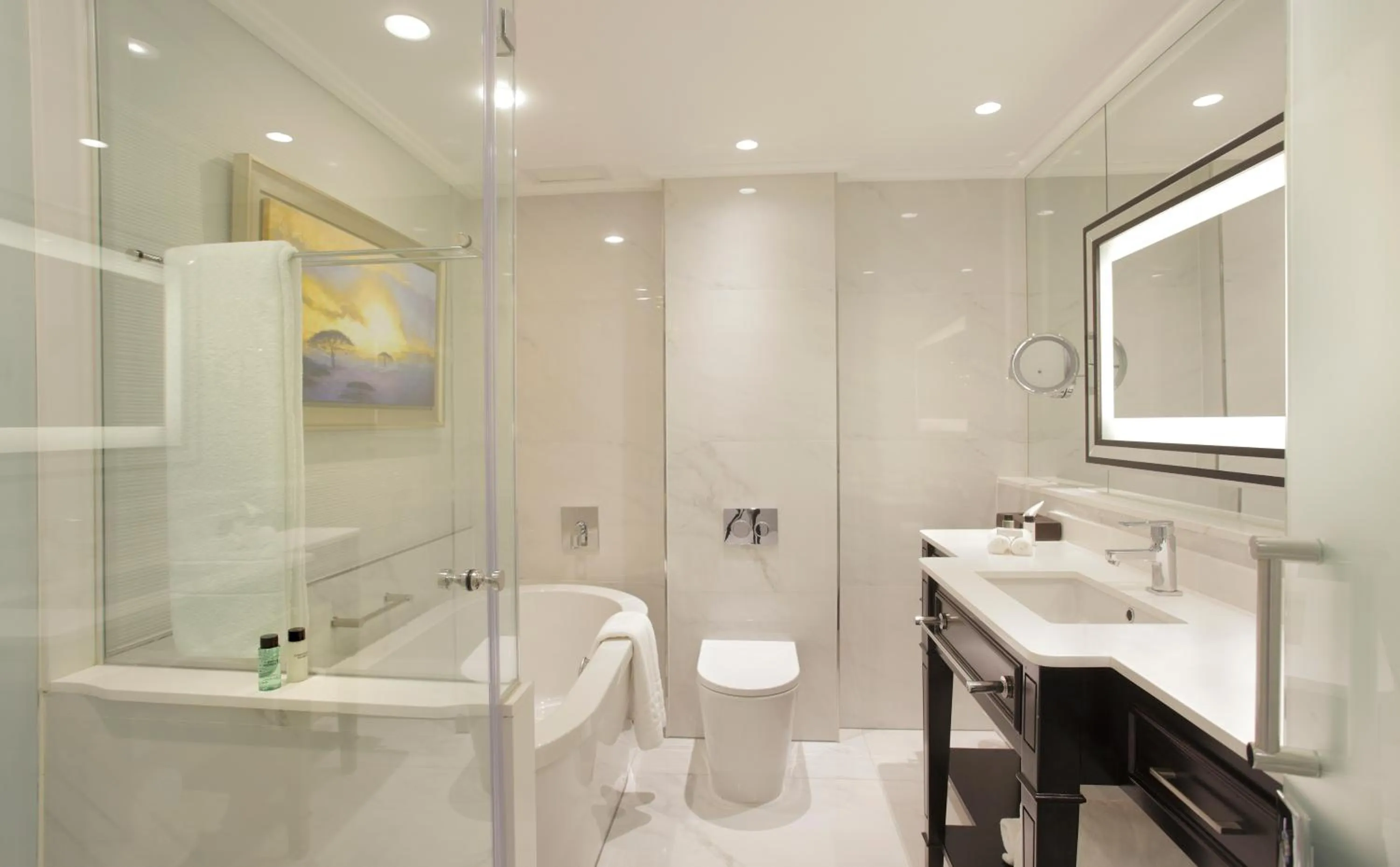 Bathroom in Sandton Sun and Towers