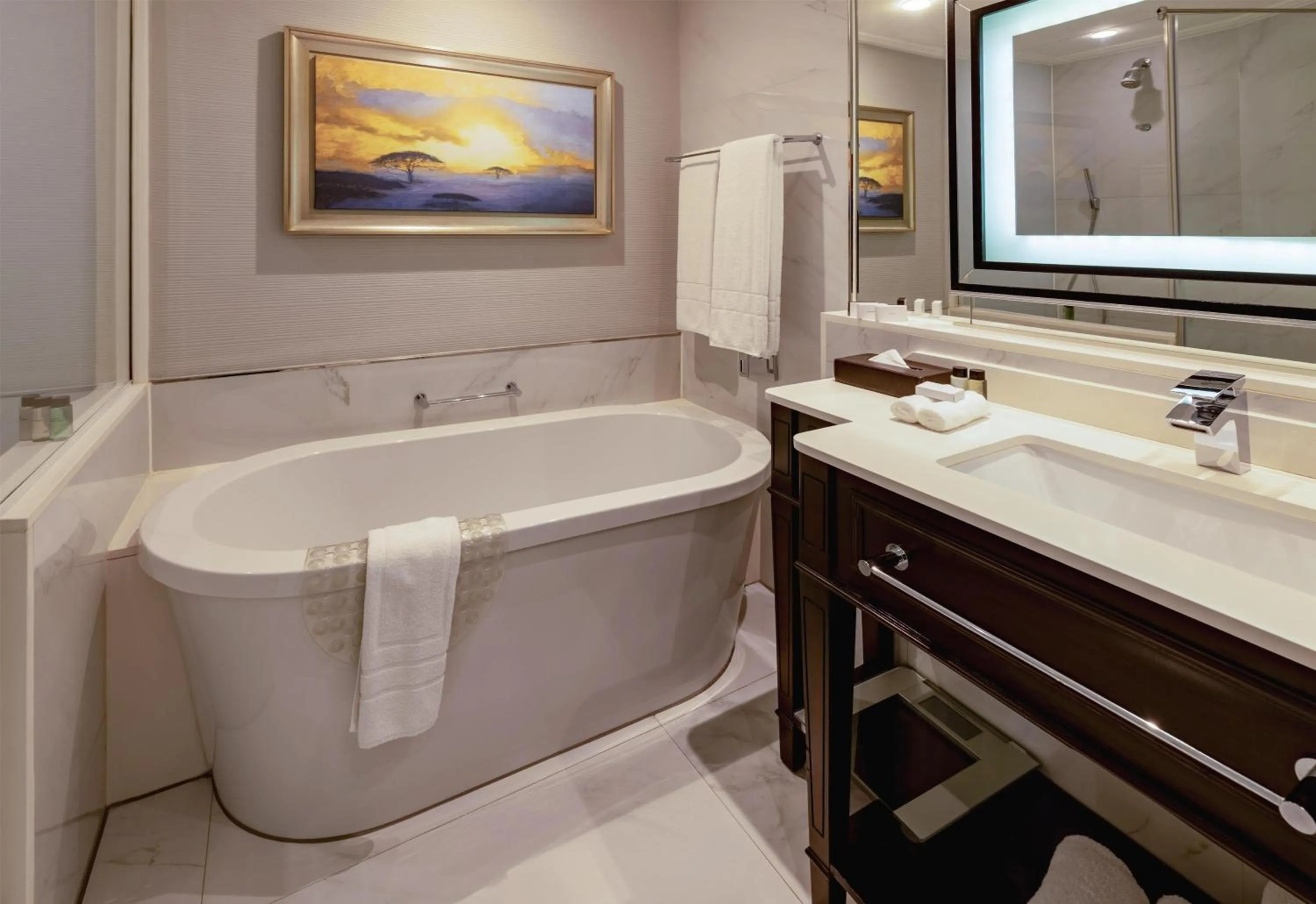 Bathroom in Sandton Sun and Towers