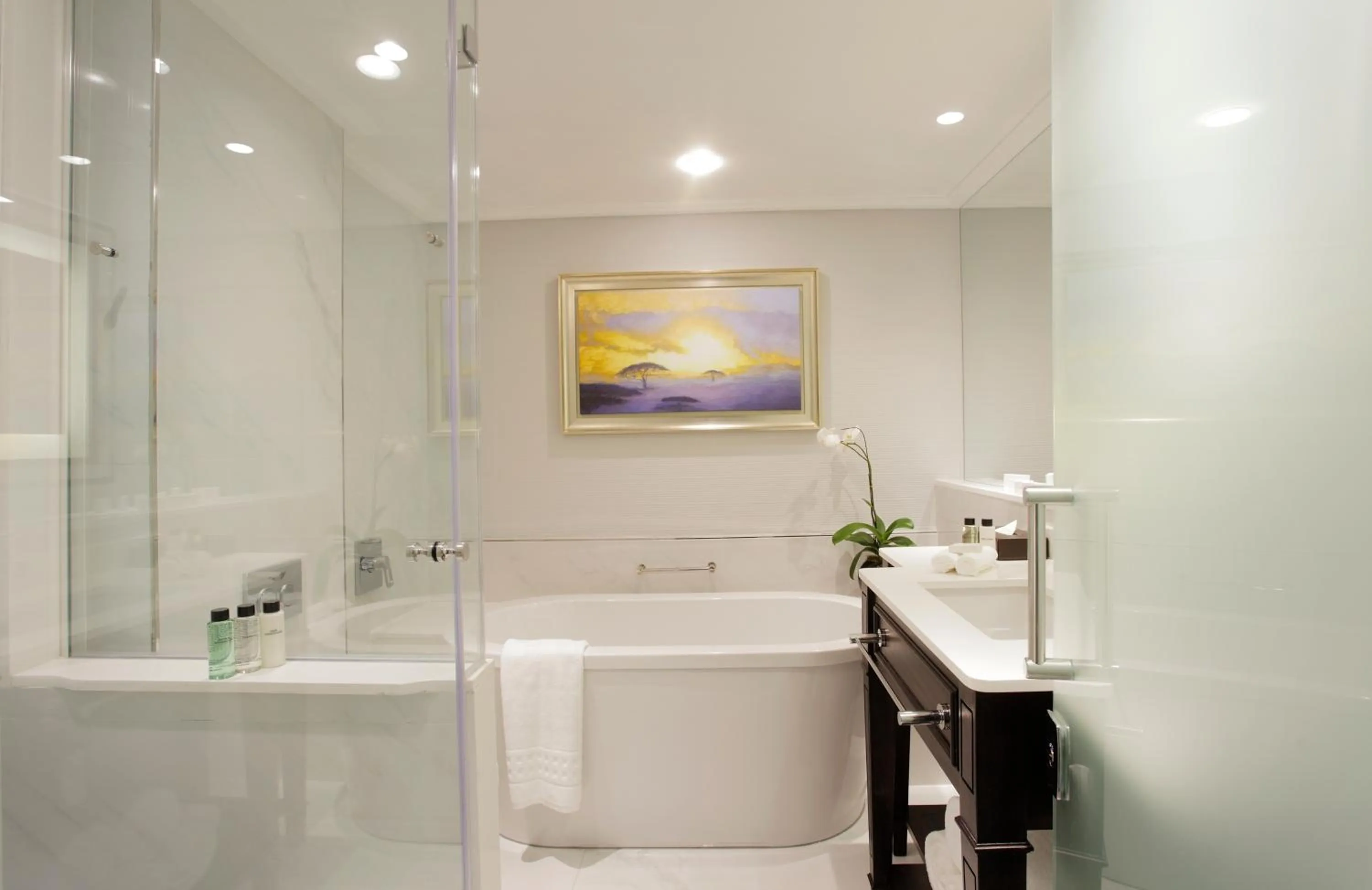 Bathroom in Sandton Sun and Towers