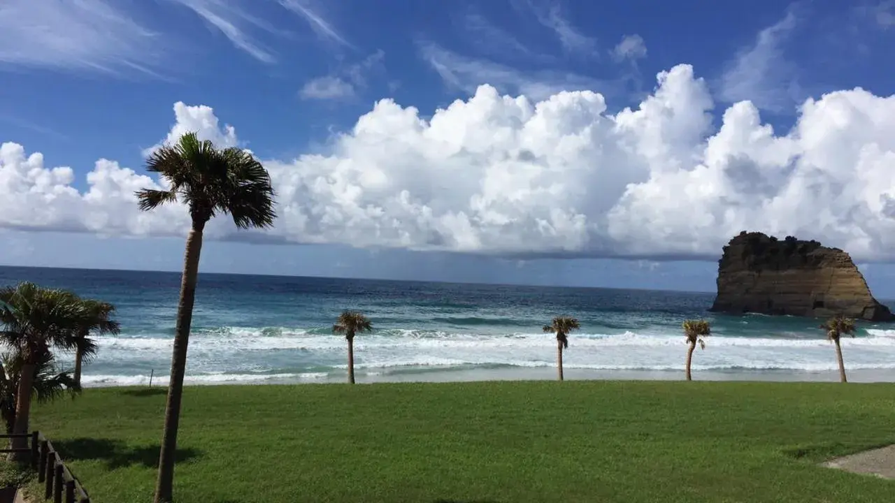 Tanegashima Iwasaki Hotel Tanegashima Iwasaki Hotel