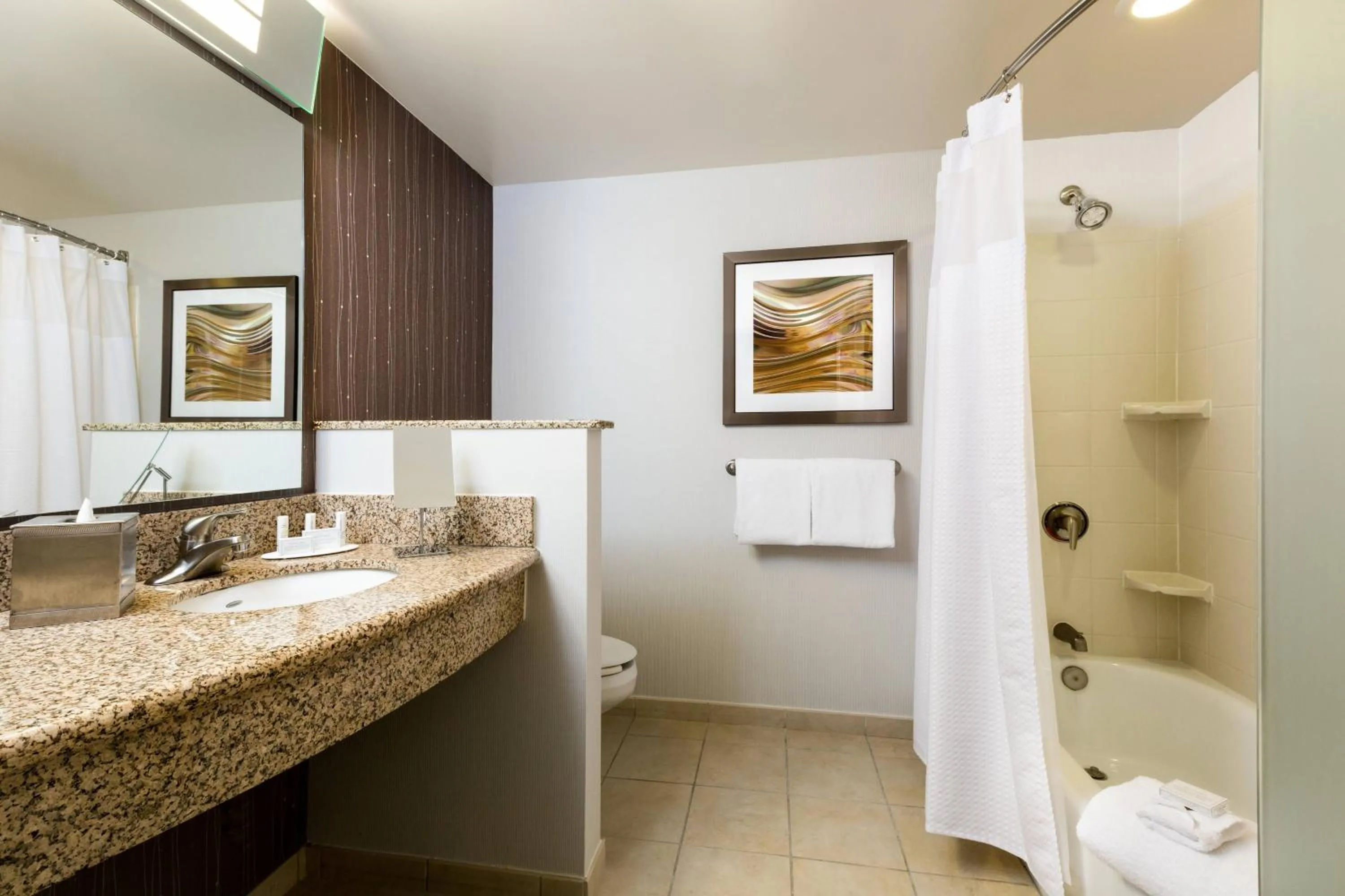 Bathroom in Courtyard by Marriott Houston Galleria