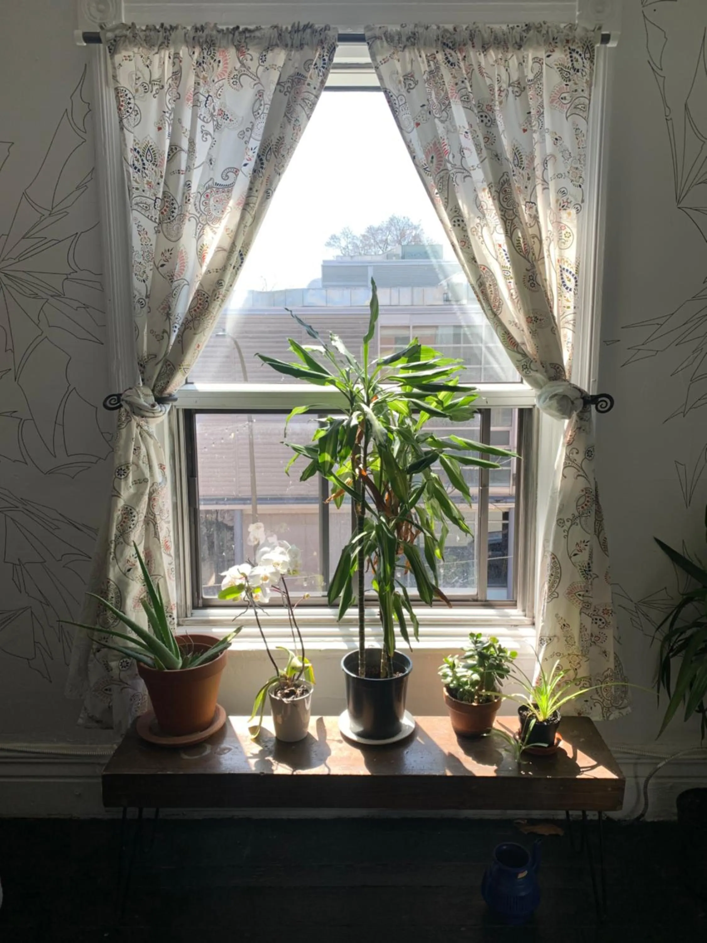 View (from property/room) in Pensione Popolo