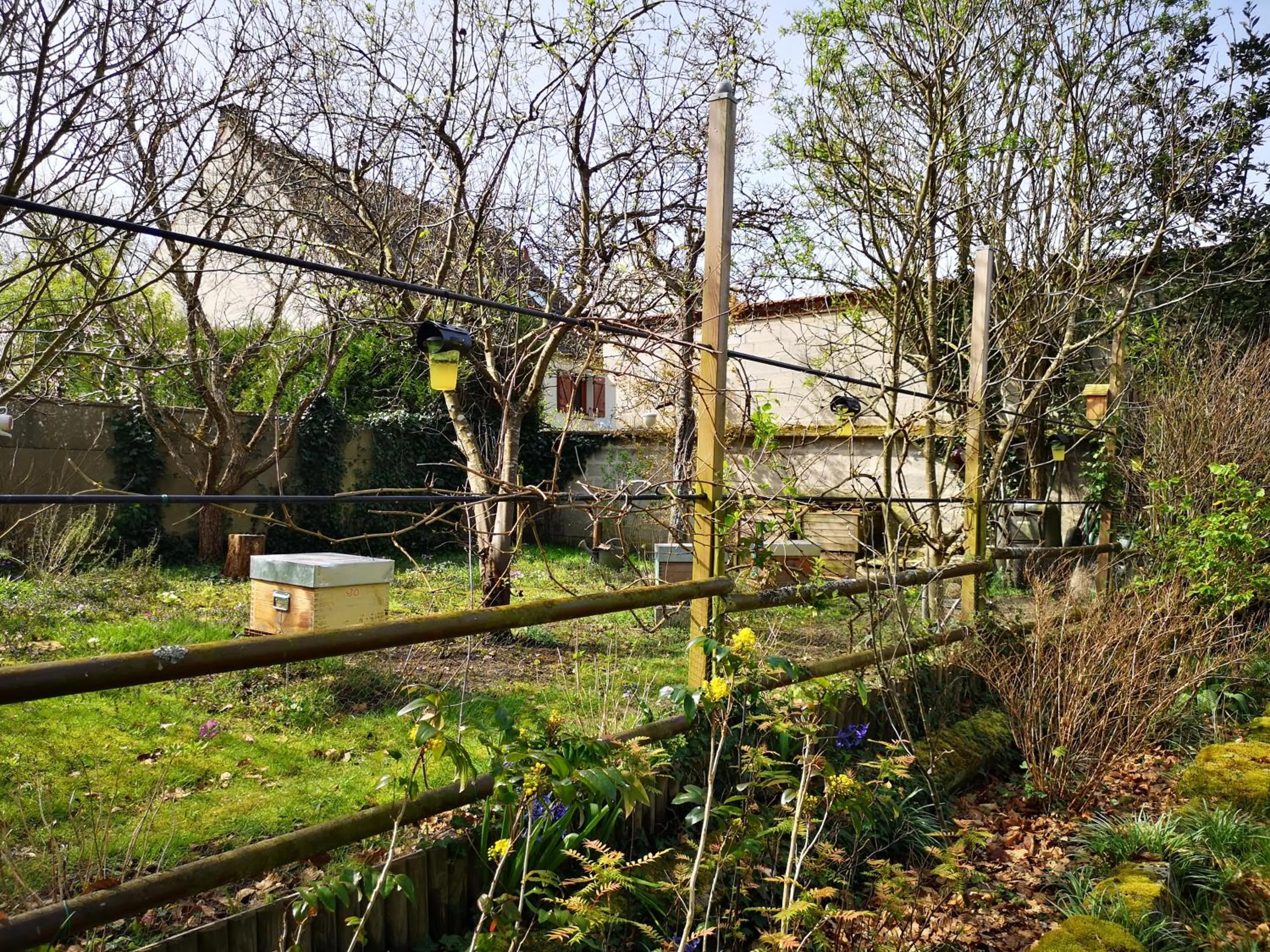 Garden in Villa le Cloky