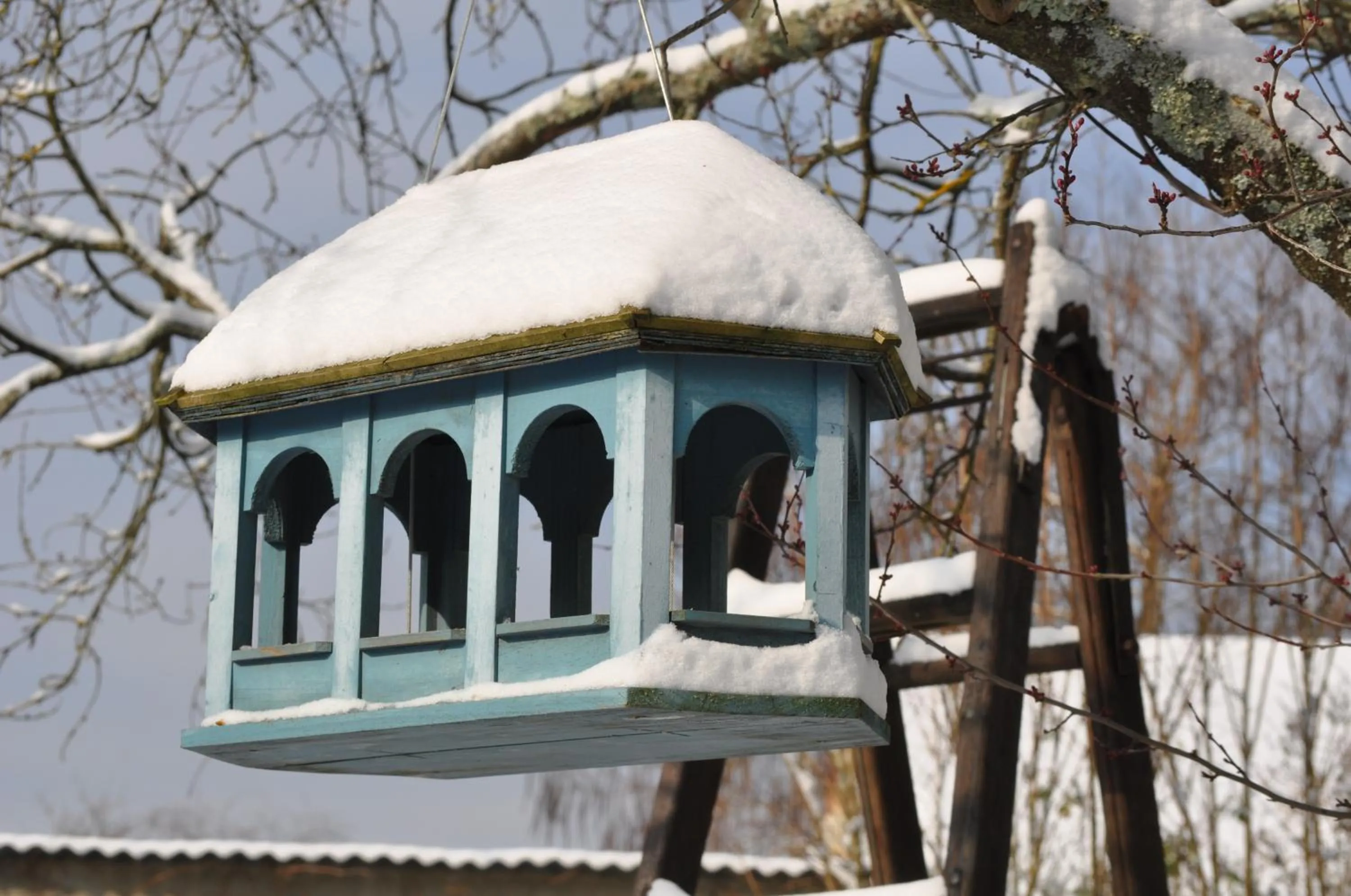 Property building in Villa le Cloky