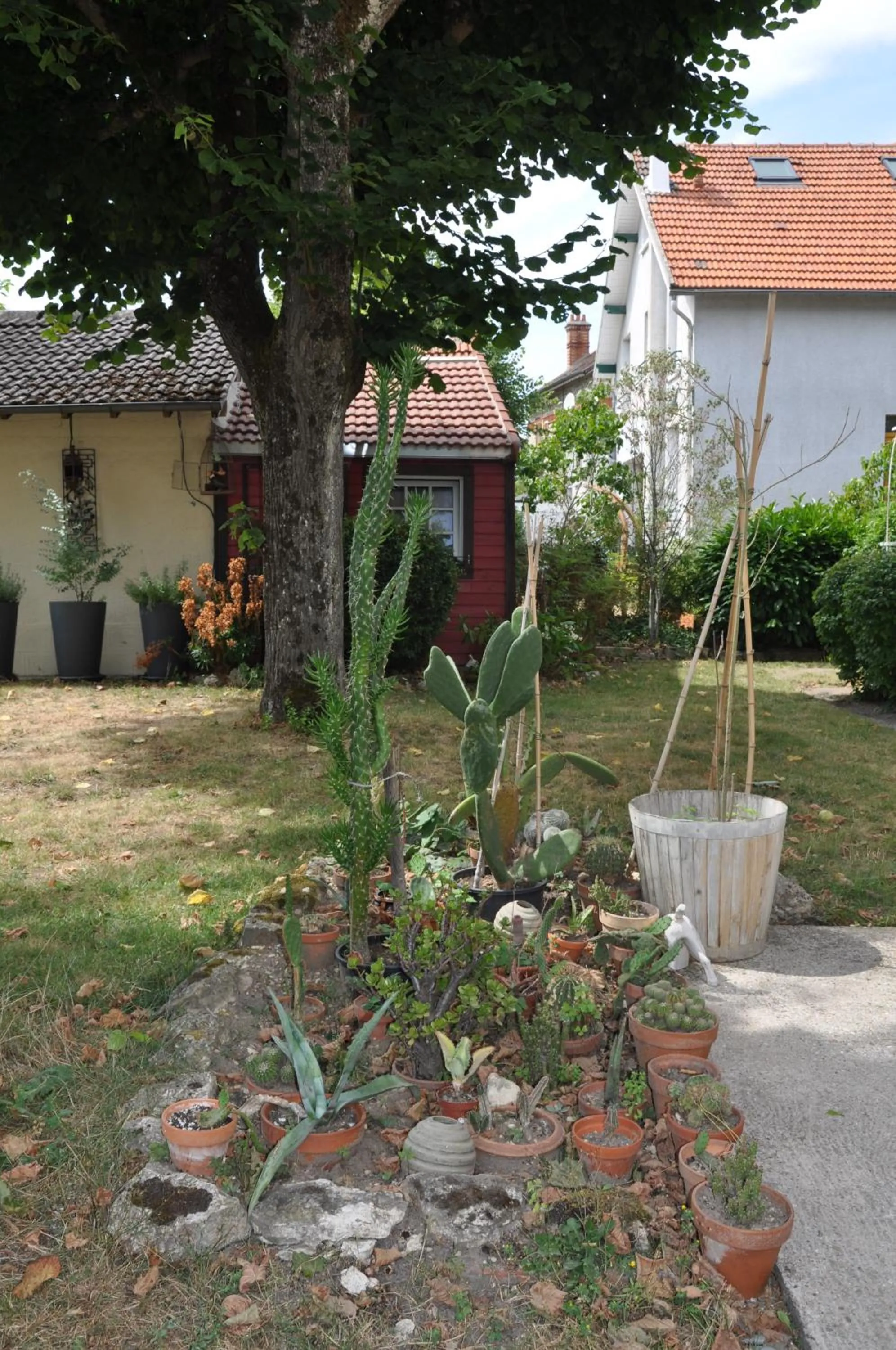Garden in Villa le Cloky