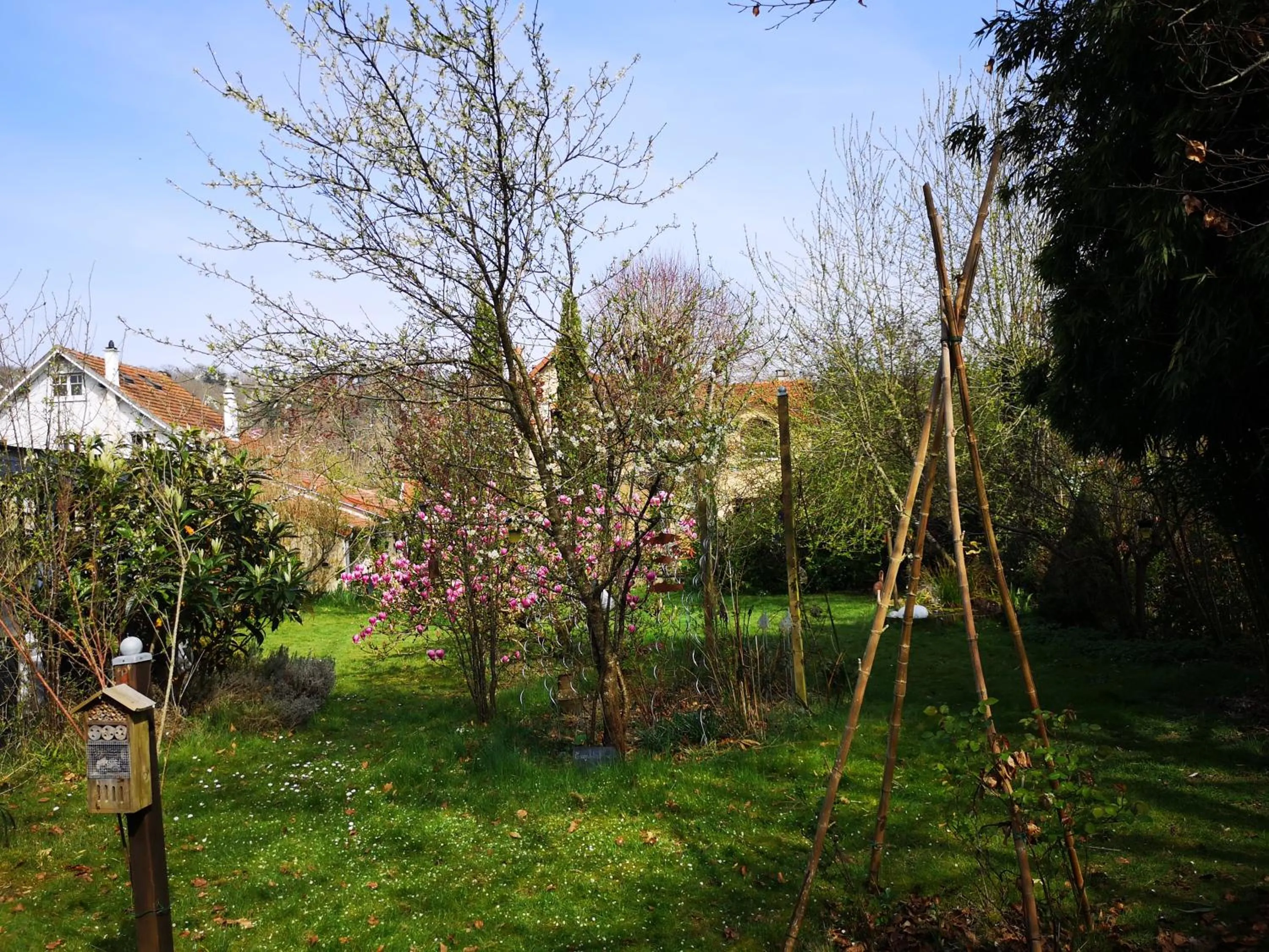 Garden in Villa le Cloky