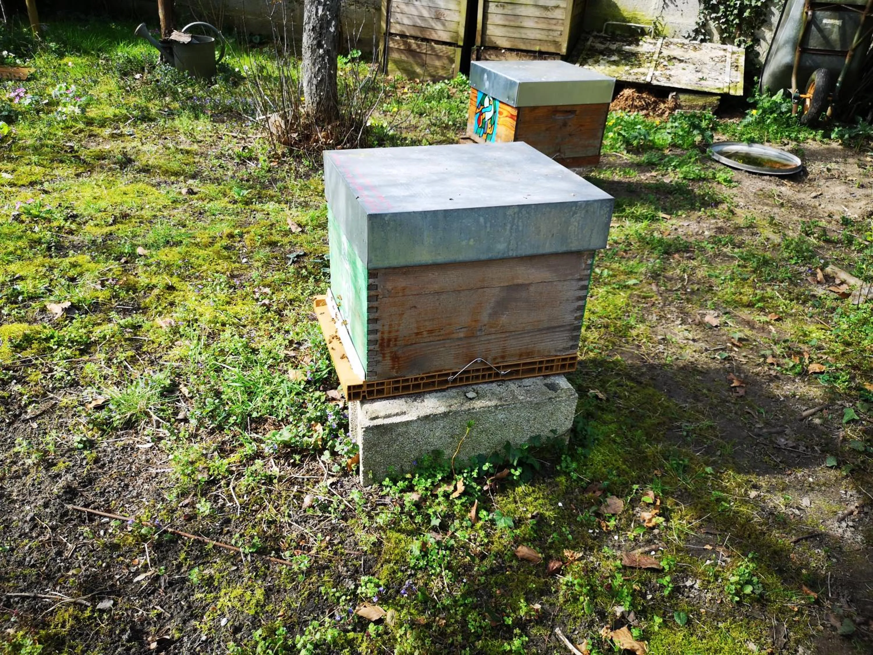 Garden in Villa le Cloky