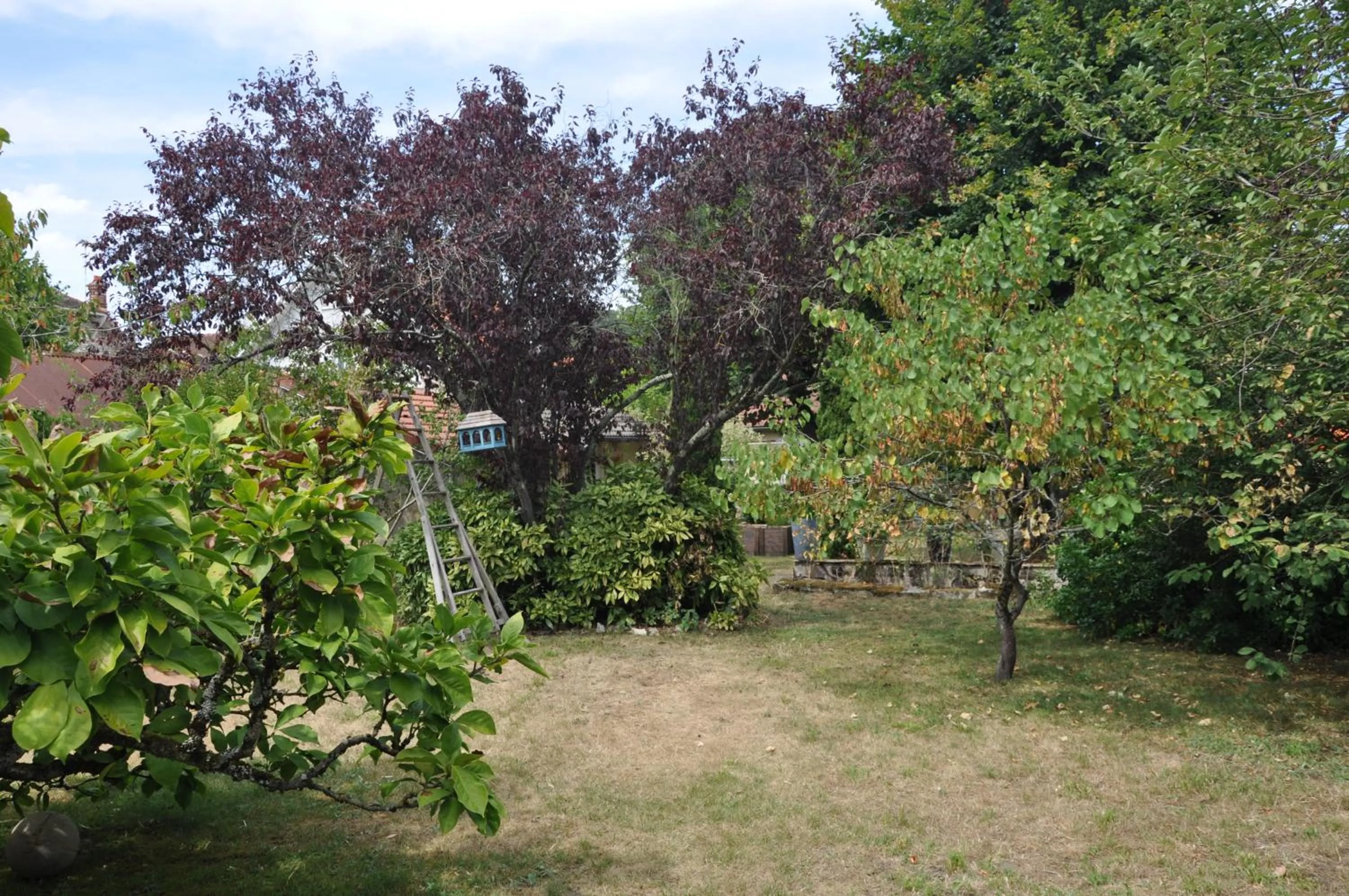 Natural landscape in Villa le Cloky