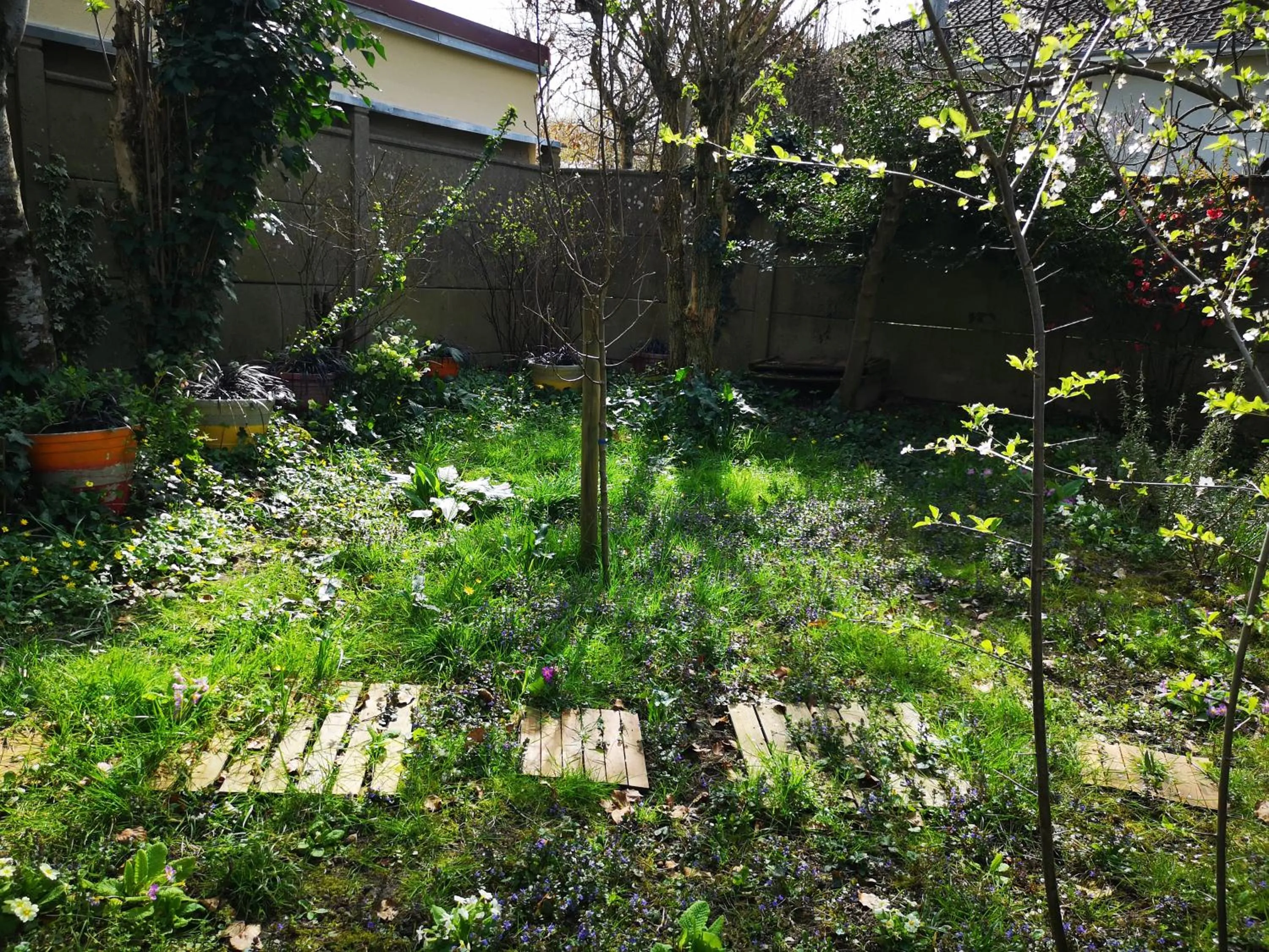 Garden in Villa le Cloky