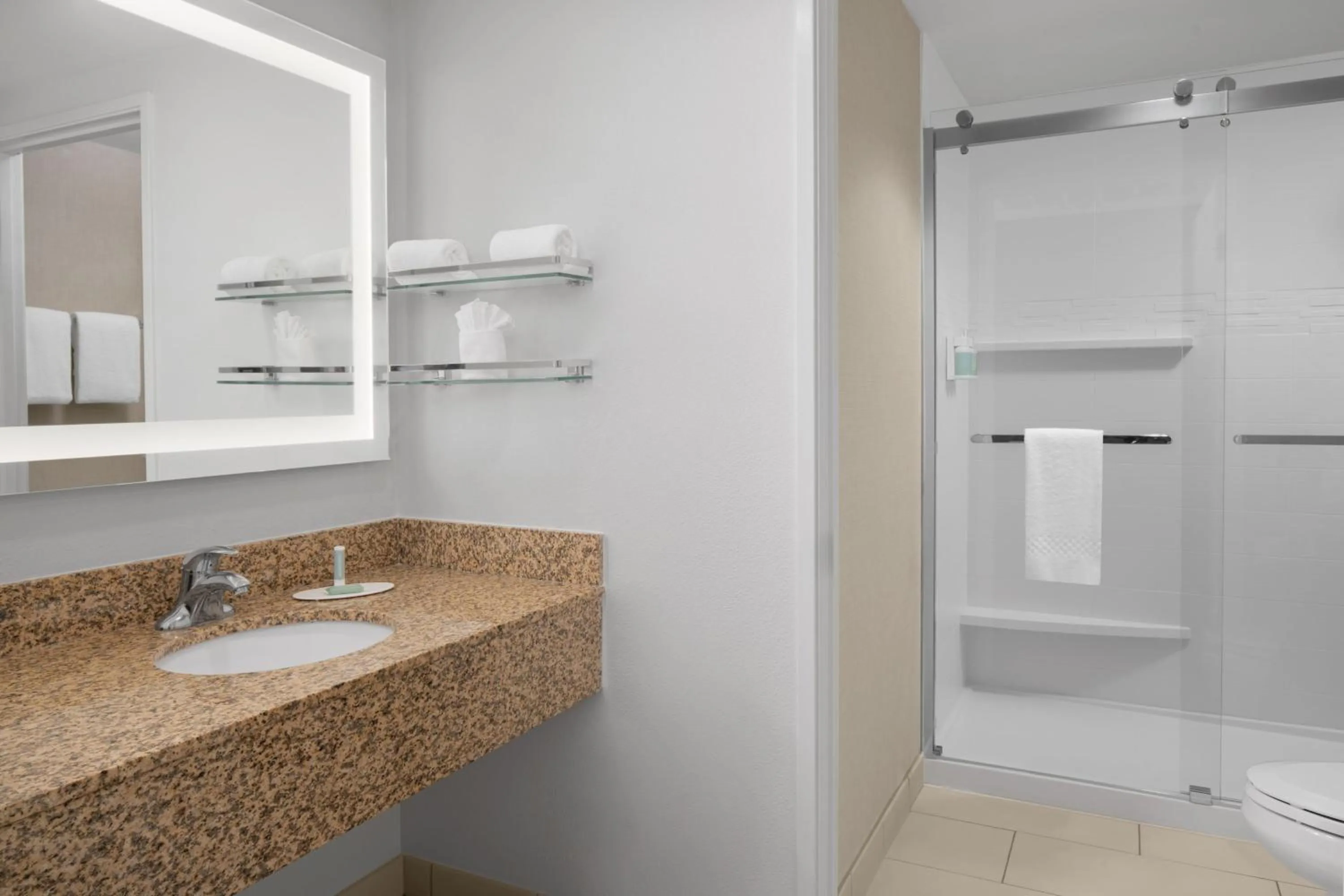 Bathroom in Residence Inn by Marriott Santa Clarita Valencia