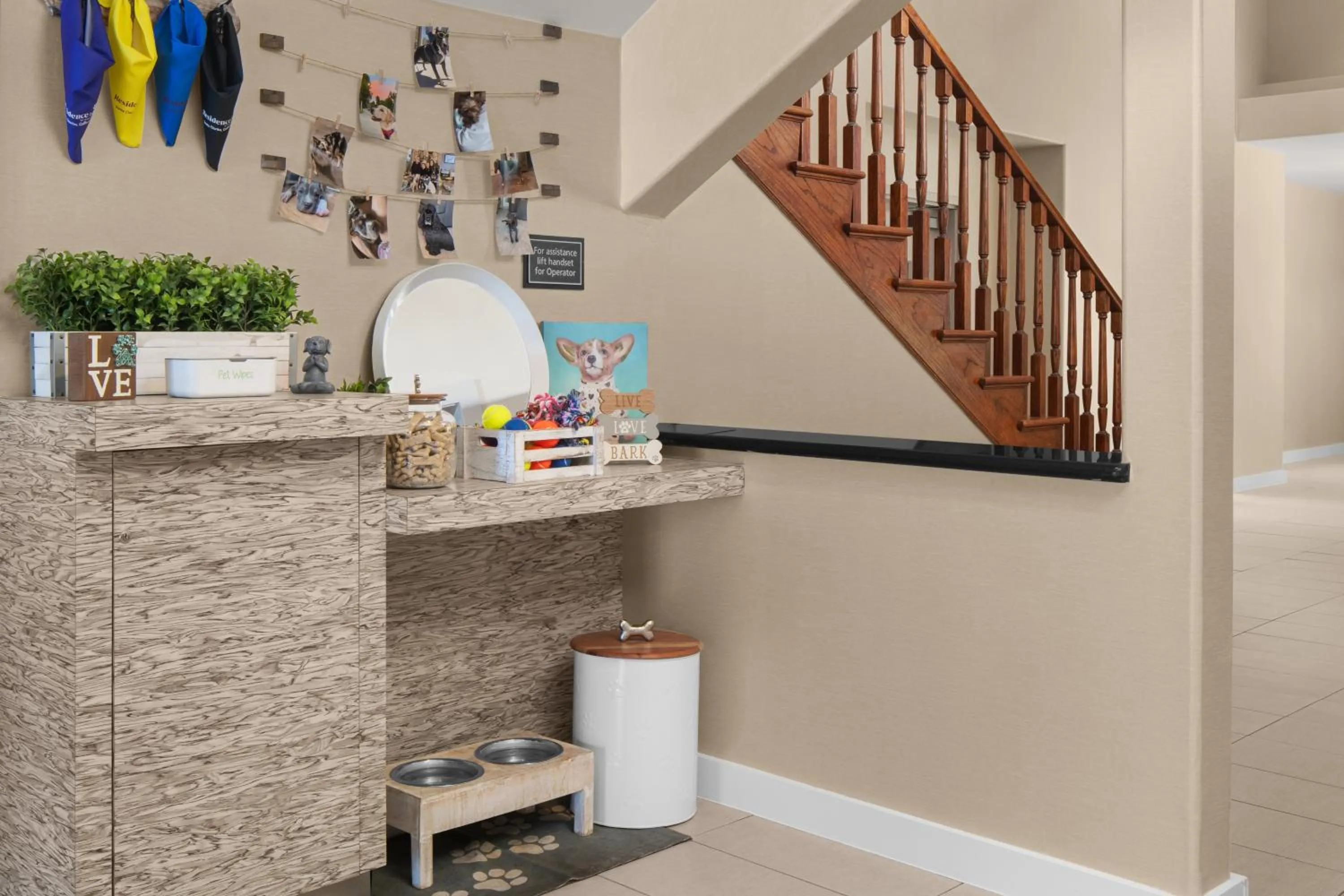 pet friendly in Residence Inn by Marriott Santa Clarita Valencia