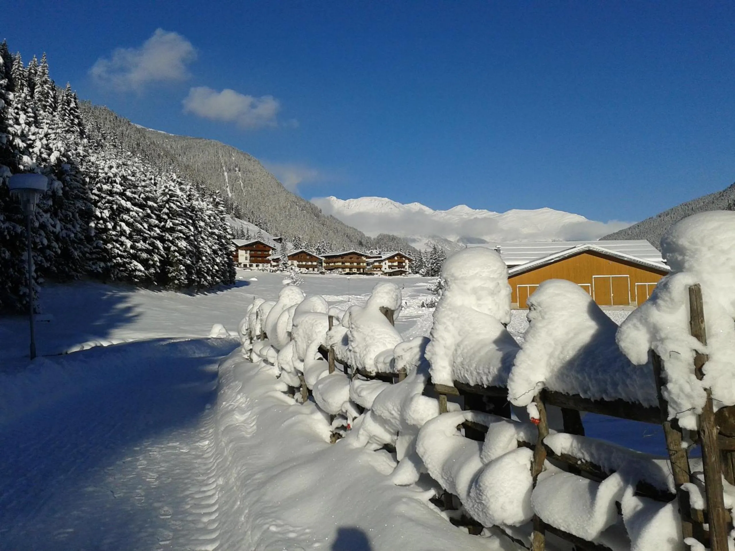 Natural landscape in Haus Waldheim