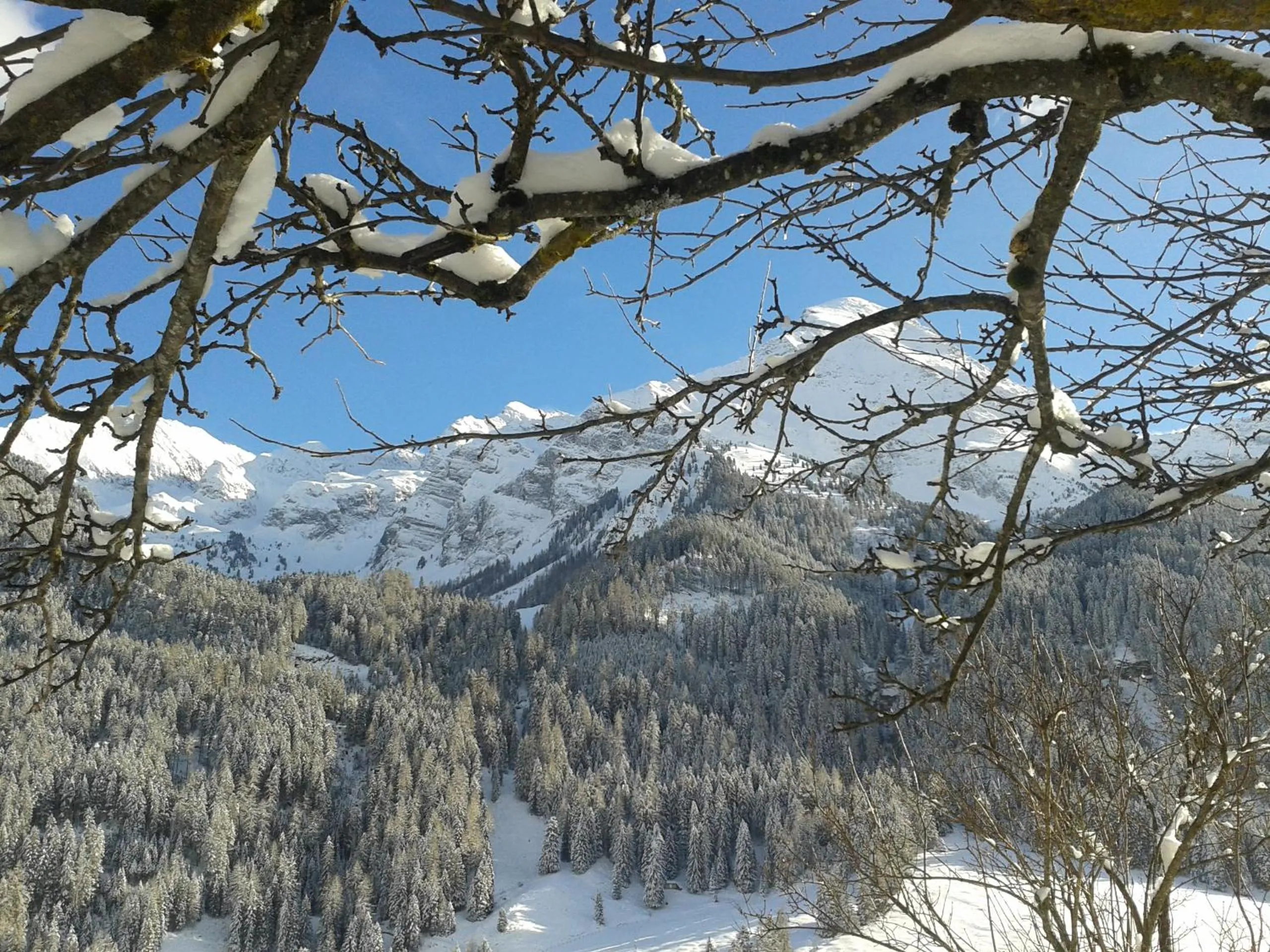 Natural landscape in Haus Waldheim