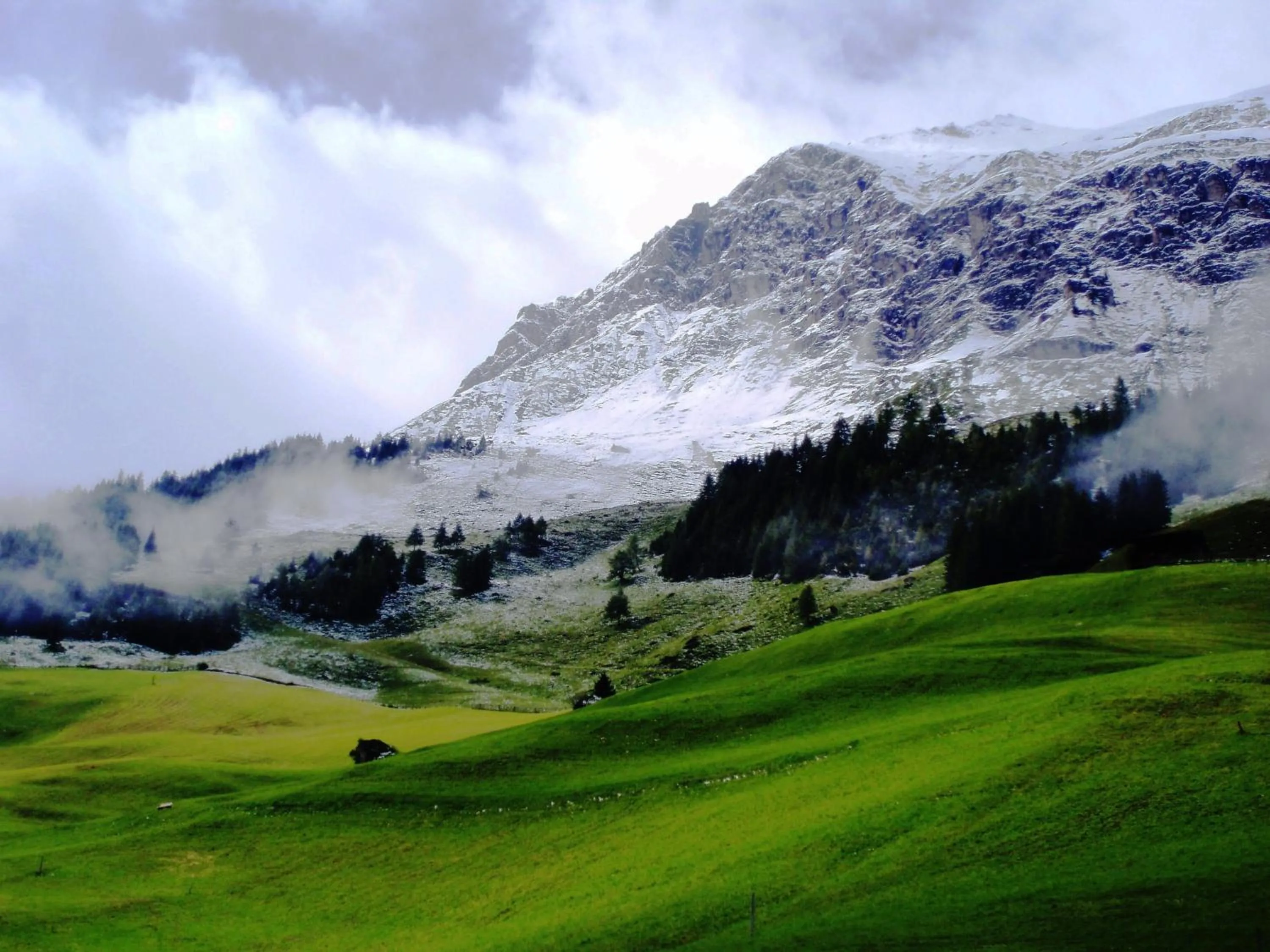 Natural landscape in Haus Waldheim