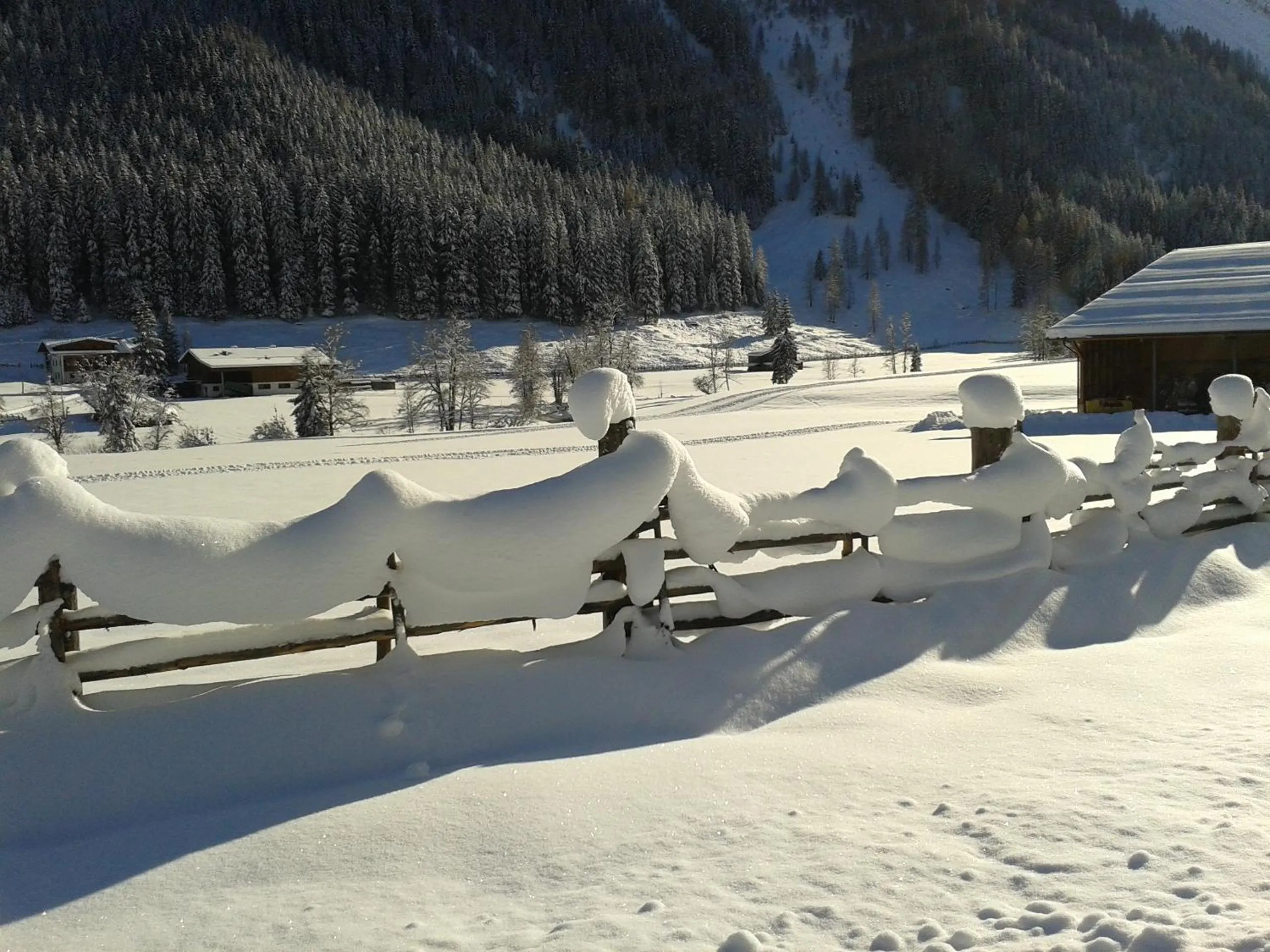 Natural landscape in Haus Waldheim