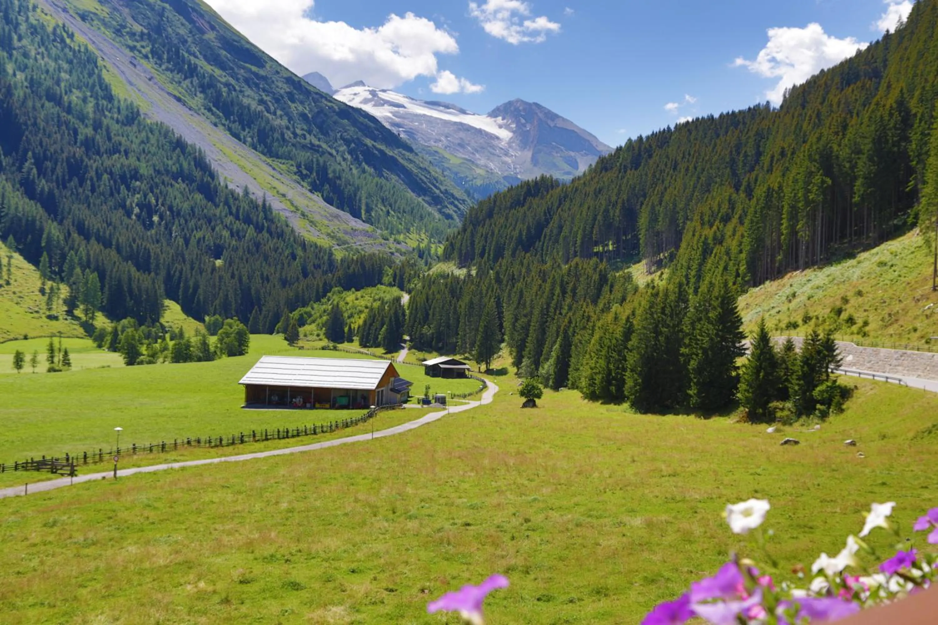 Natural landscape in Haus Waldheim