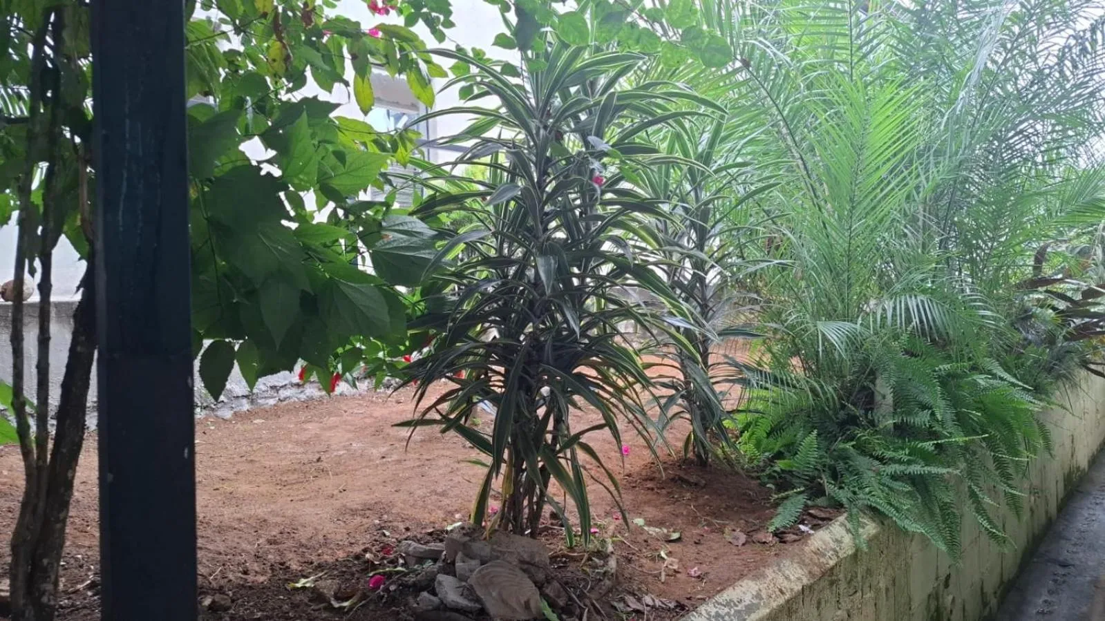Garden in Residencial Mogi das Cruzes