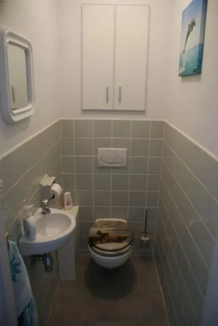 Toilet in Nevada