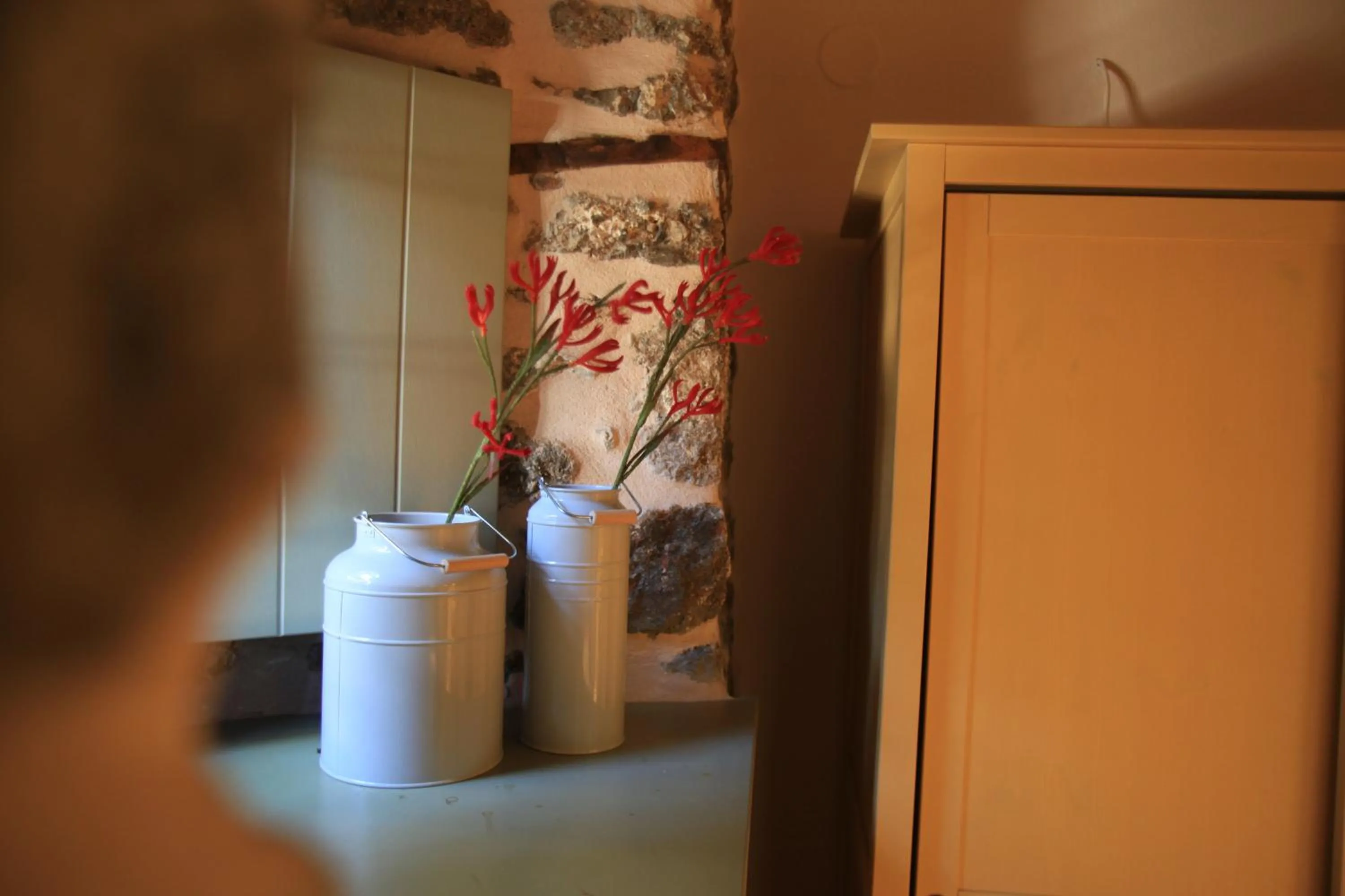 Bayiri Petit Pension