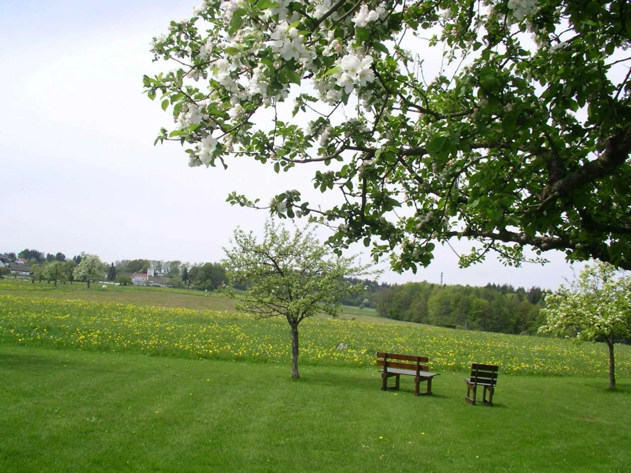 View (from property/room) in Cafe Best Gaestezimmer