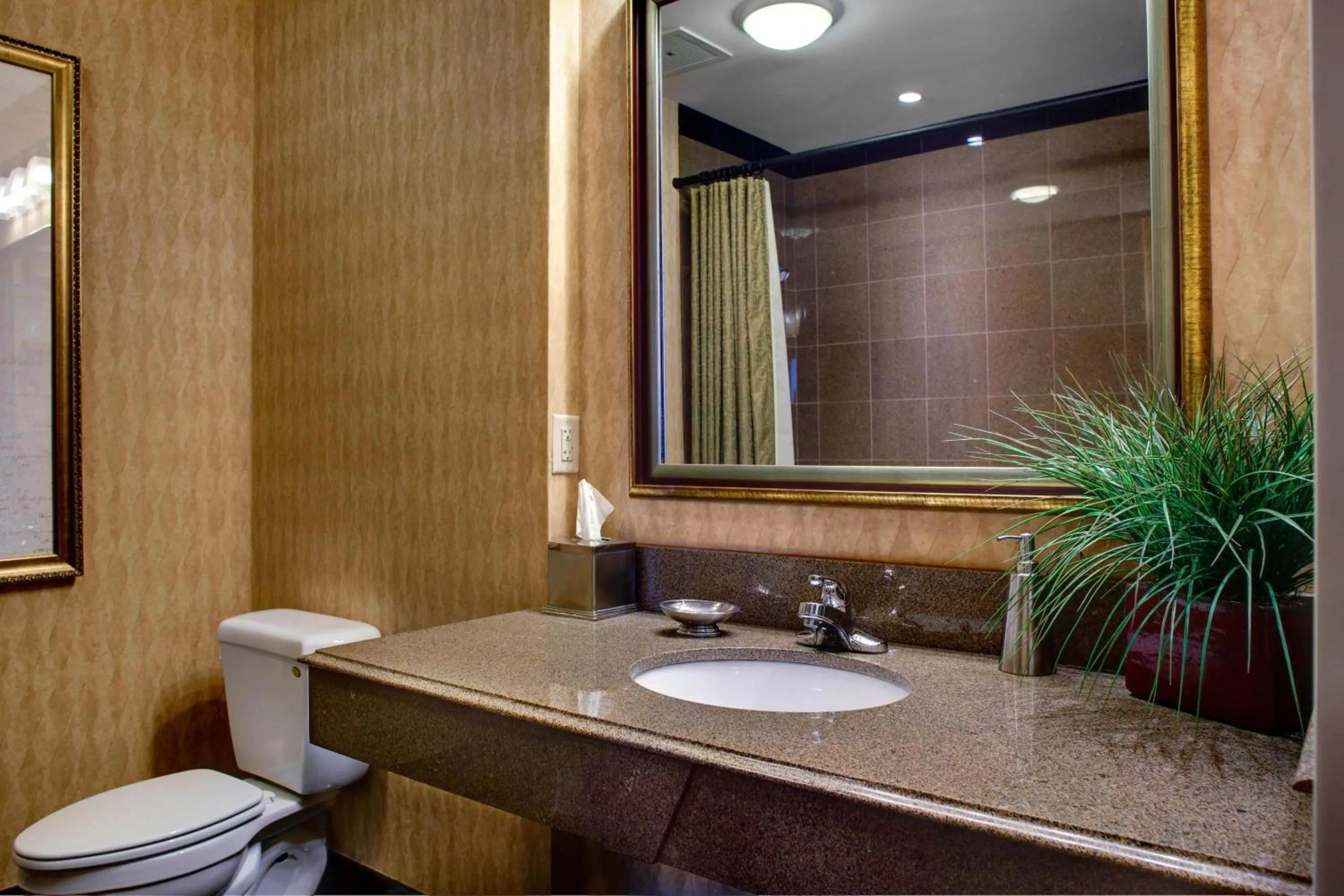 Bathroom in SpringHill Suites Memphis Downtown
