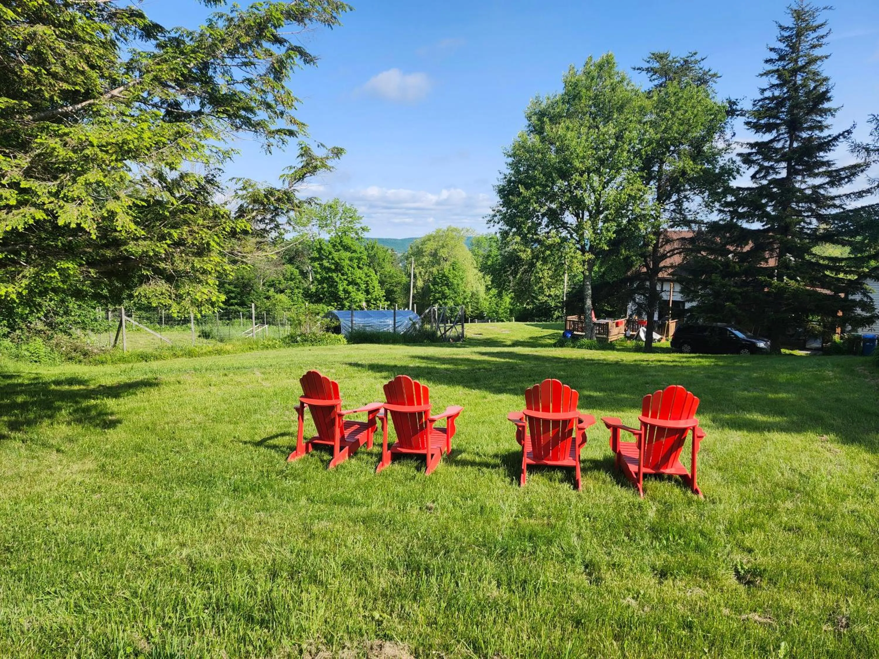 Garden in Auberge Schweizer