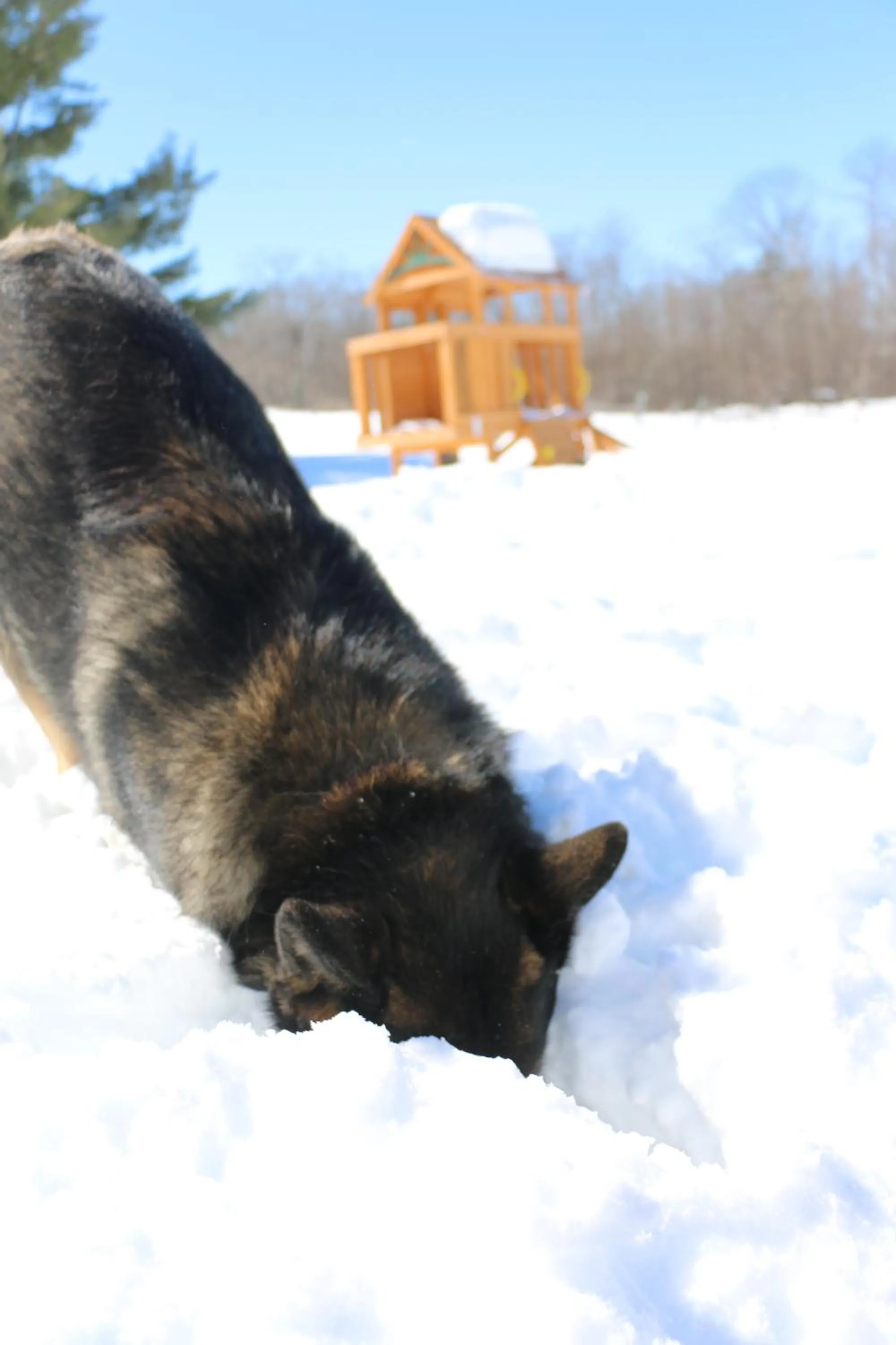 Winter in Auberge Schweizer