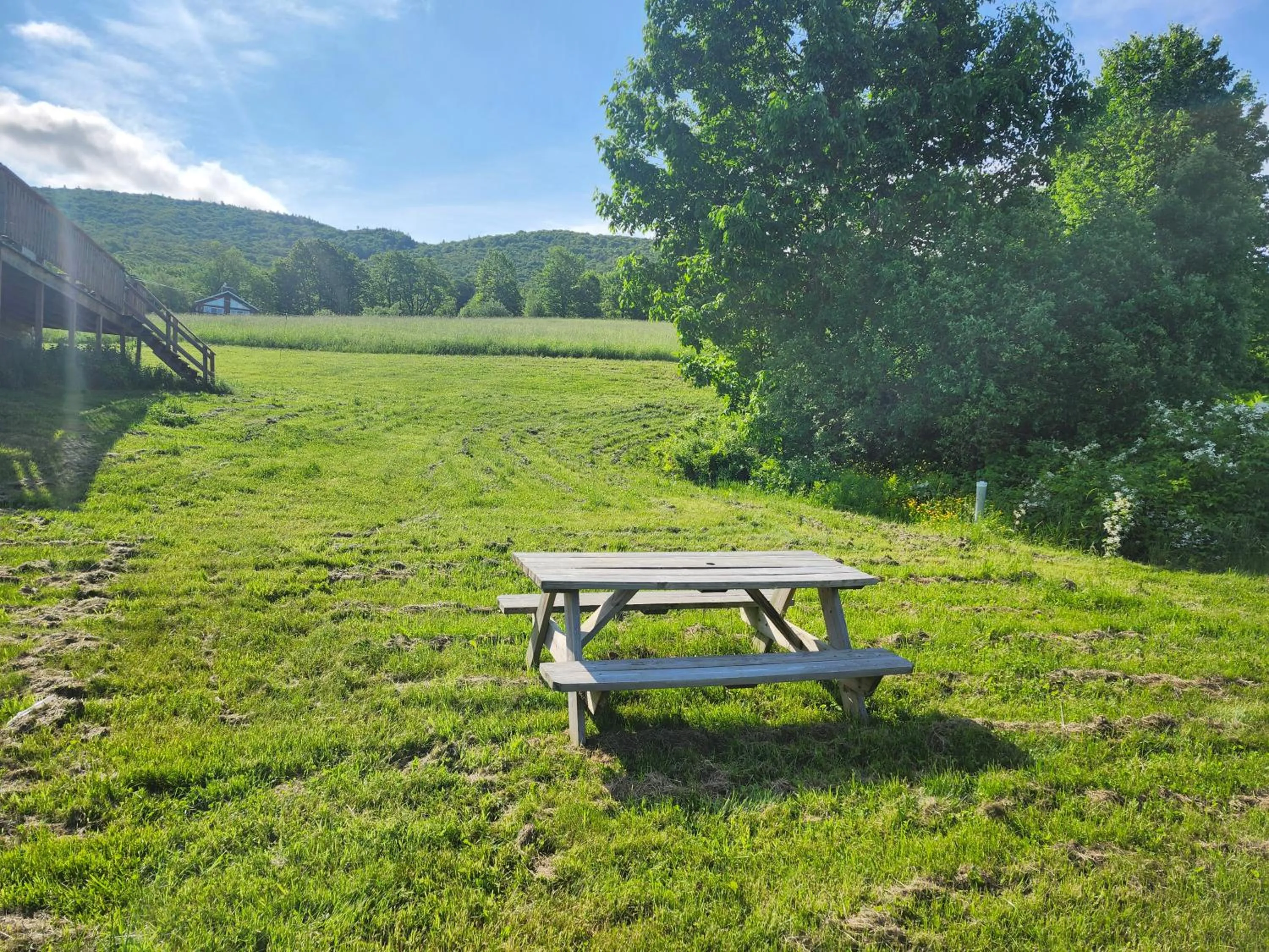 Garden in Auberge Schweizer