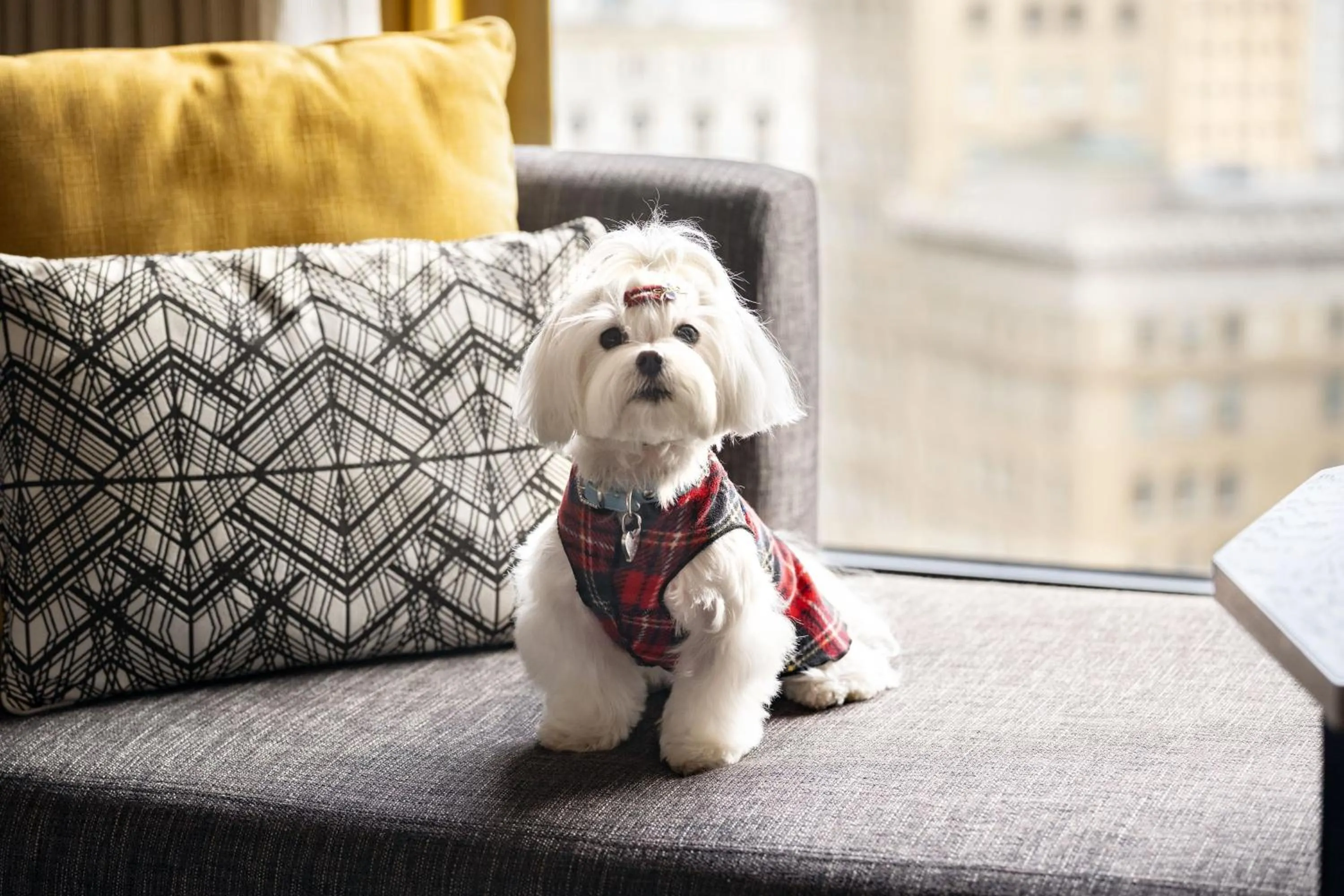 Photo of the whole room in Oakland Marriott City Center