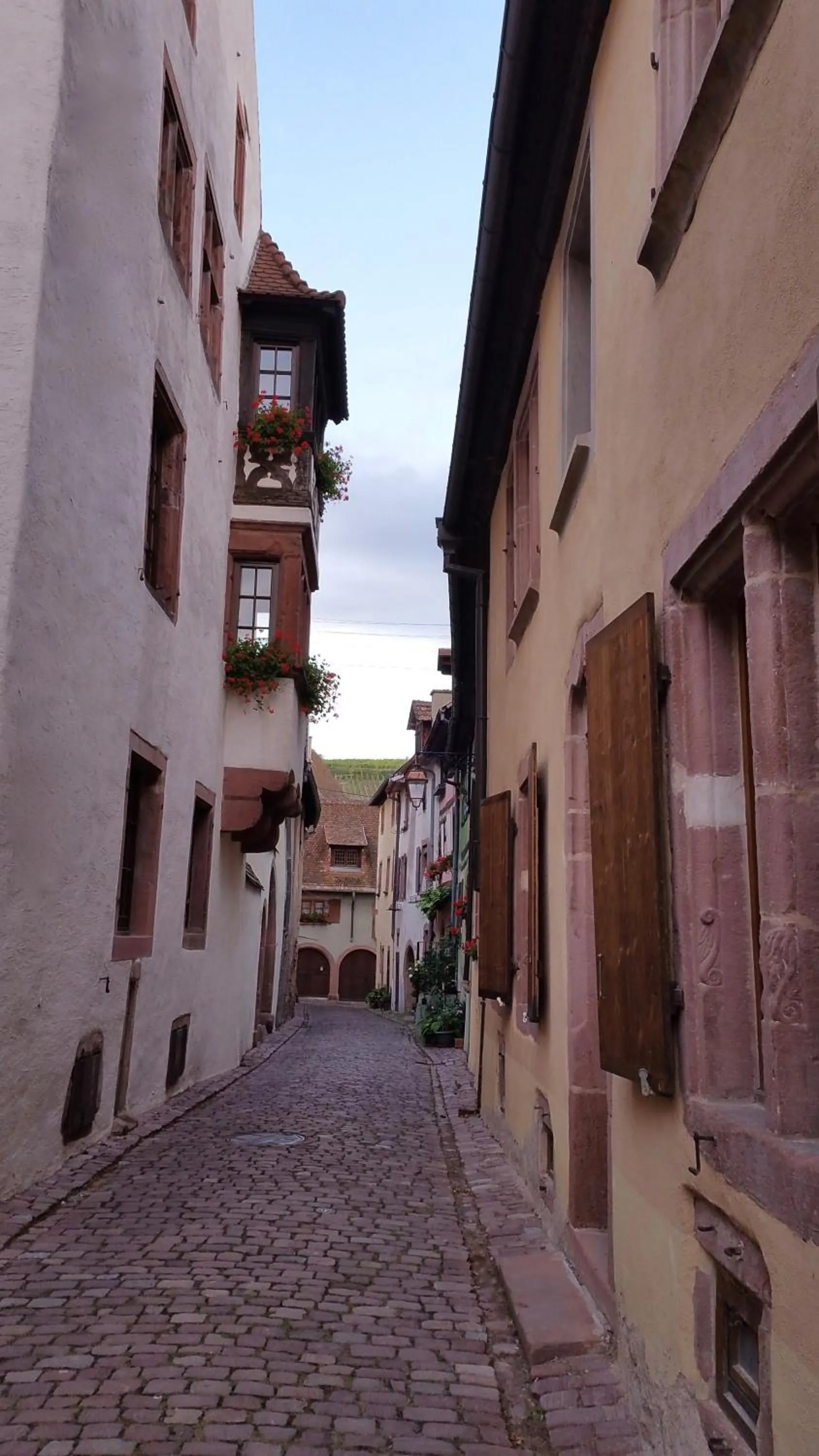 View (from property/room) in ADRIHOF à Riquewihr, Cour de l'Abbaye d'Autrey