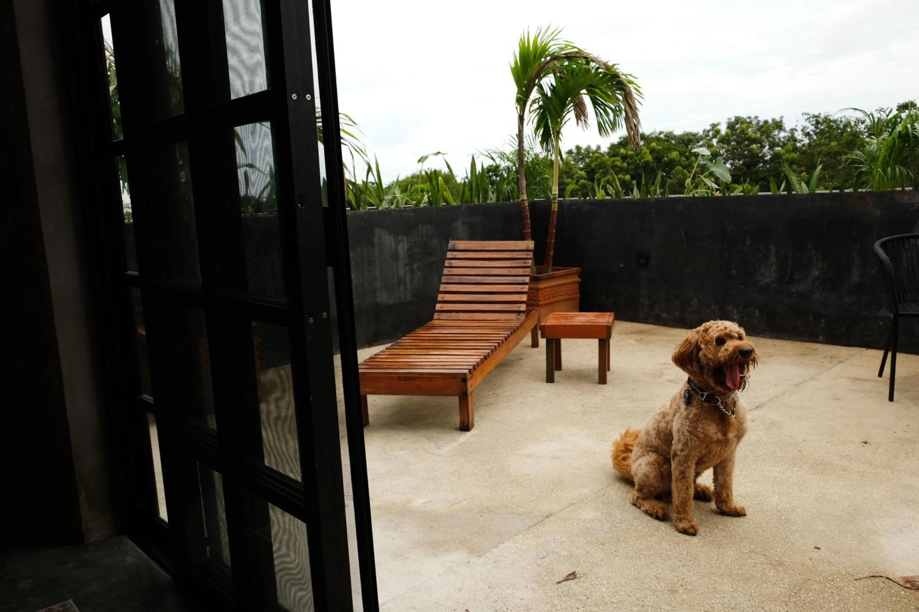 Turquoise Tulum Hotel