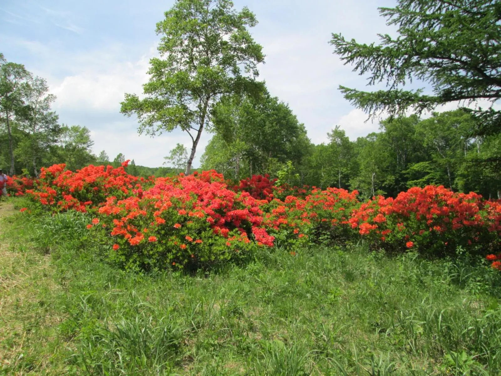 Hiking in Pension Rapan
