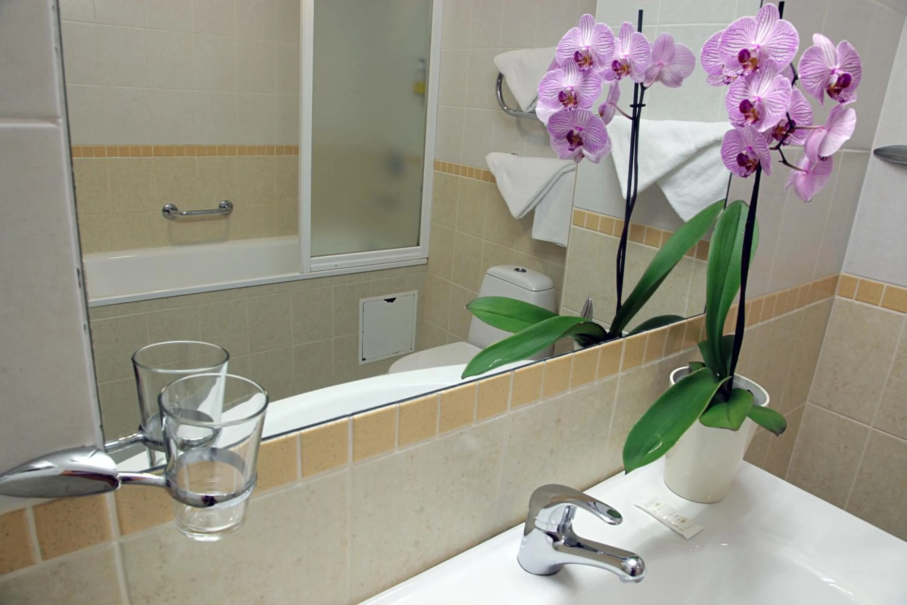 Photo of the whole room in Hotel Promenada