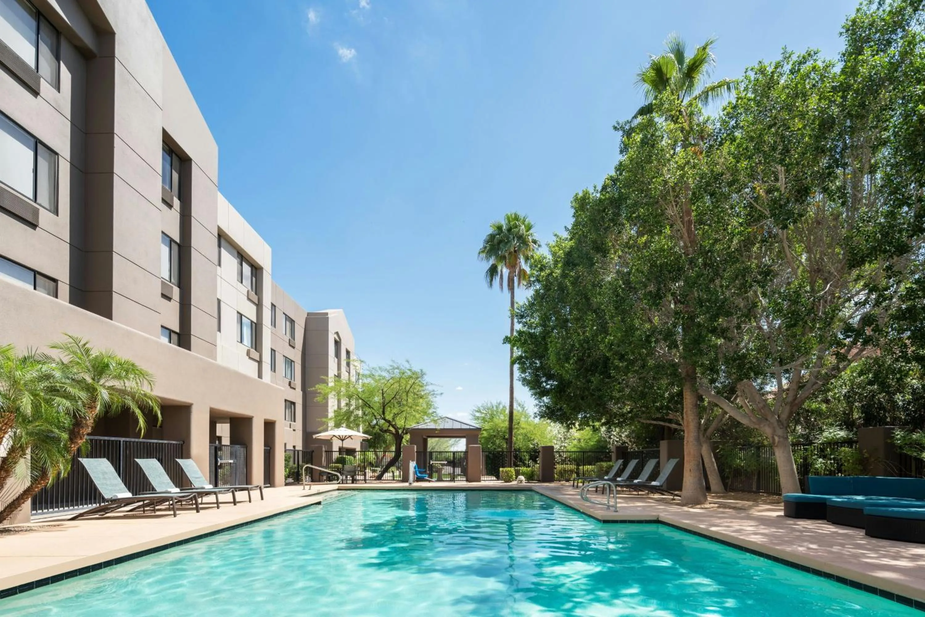 Swimming pool in SpringHill Suites Scottsdale North