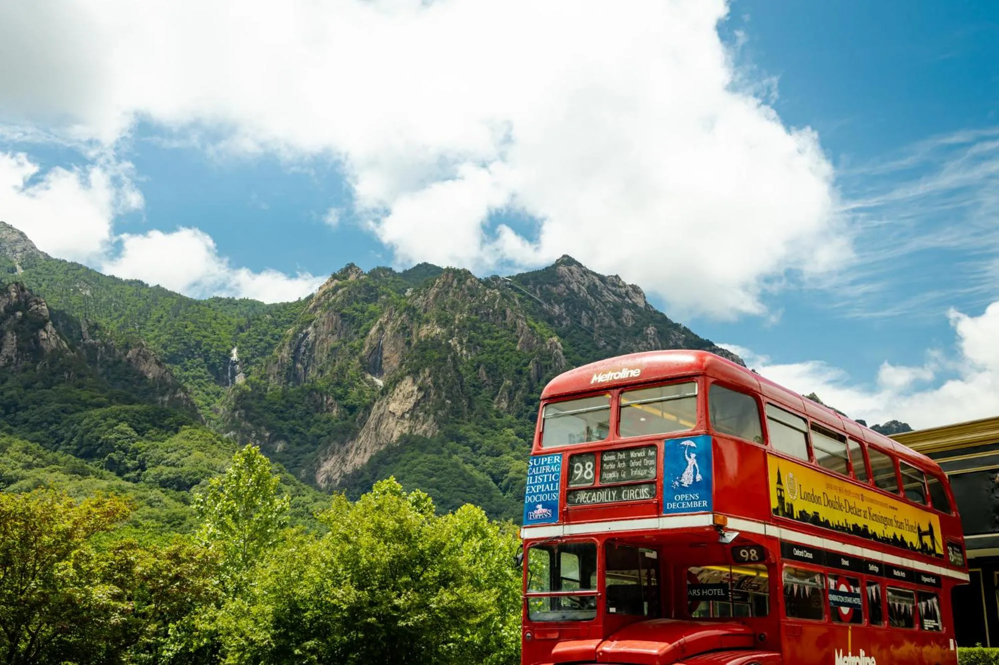 Spring in KensingtonHotel Seorak