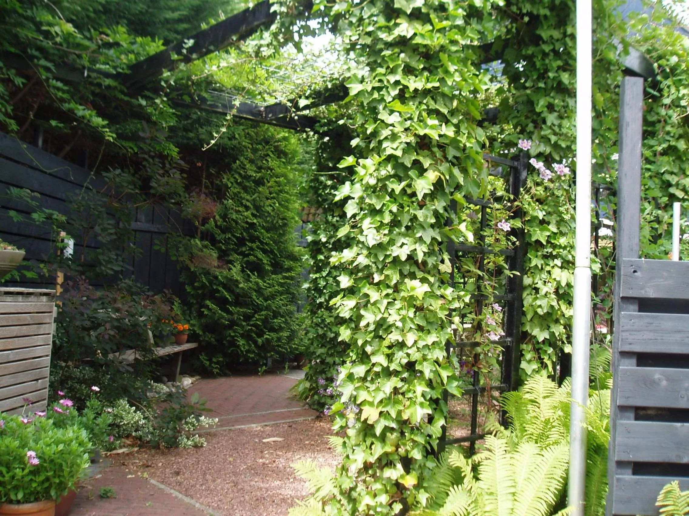 Garden in Noordwester 45