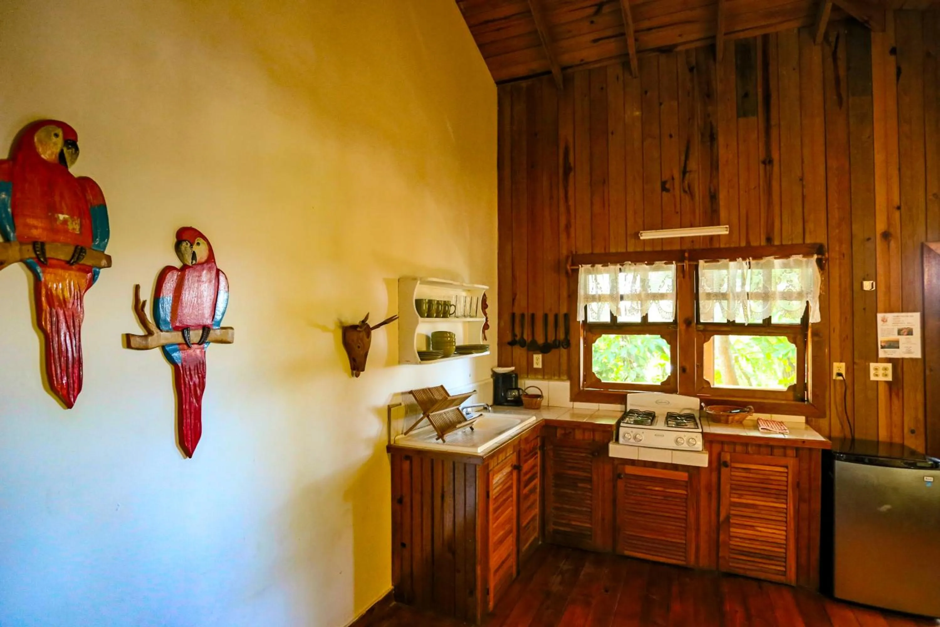 Kitchen or kitchenette in Posada Arco Iris, West End
