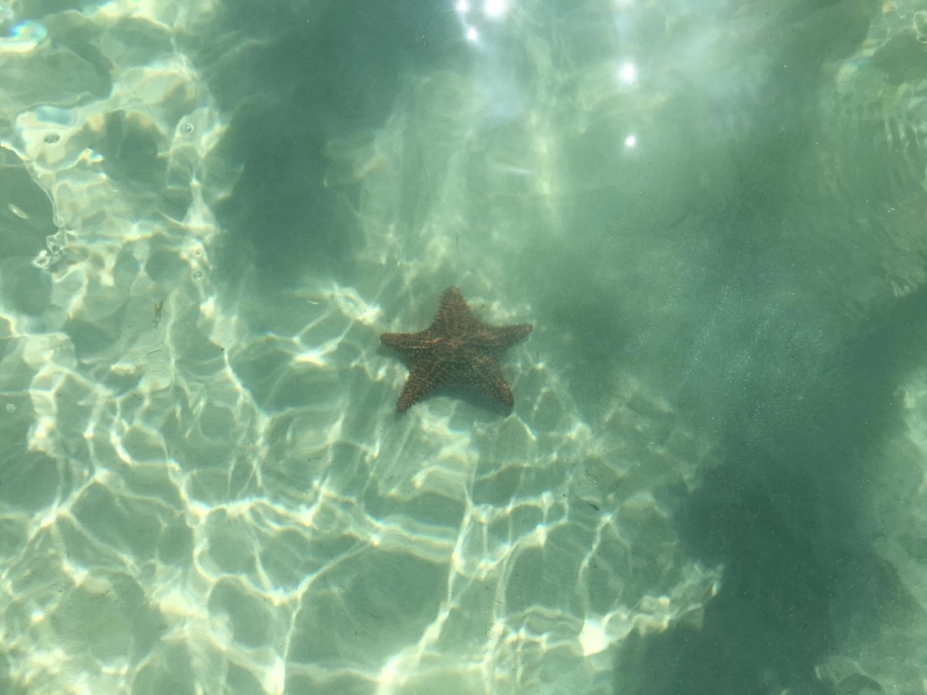 Beach in Posada Arco Iris, West End