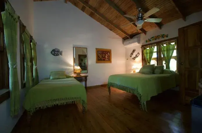 Studio with Garden View - single occupancy in Posada Arco Iris, West End Studio with Garden View - single occupancy in Posada Arco Iris, West End