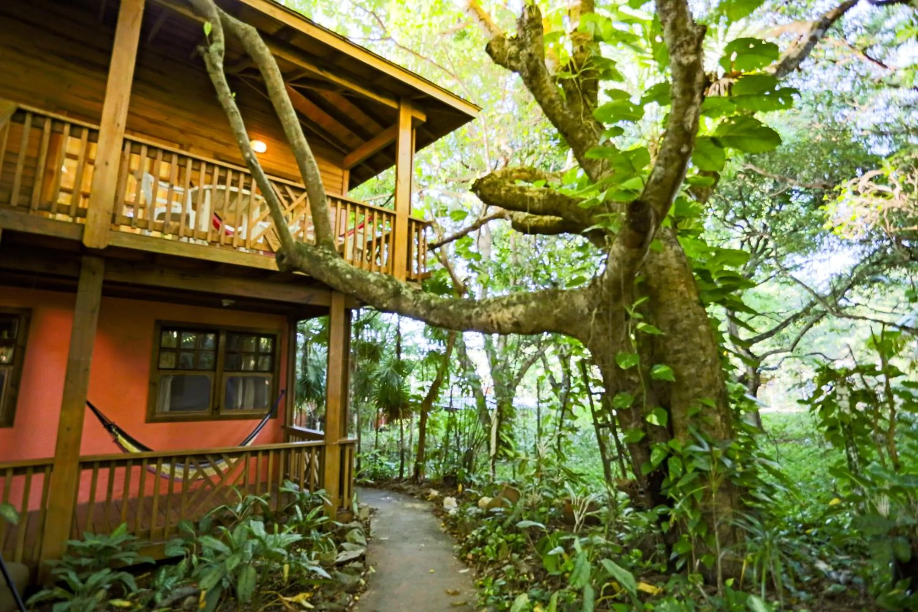 Patio in Posada Arco Iris, West End