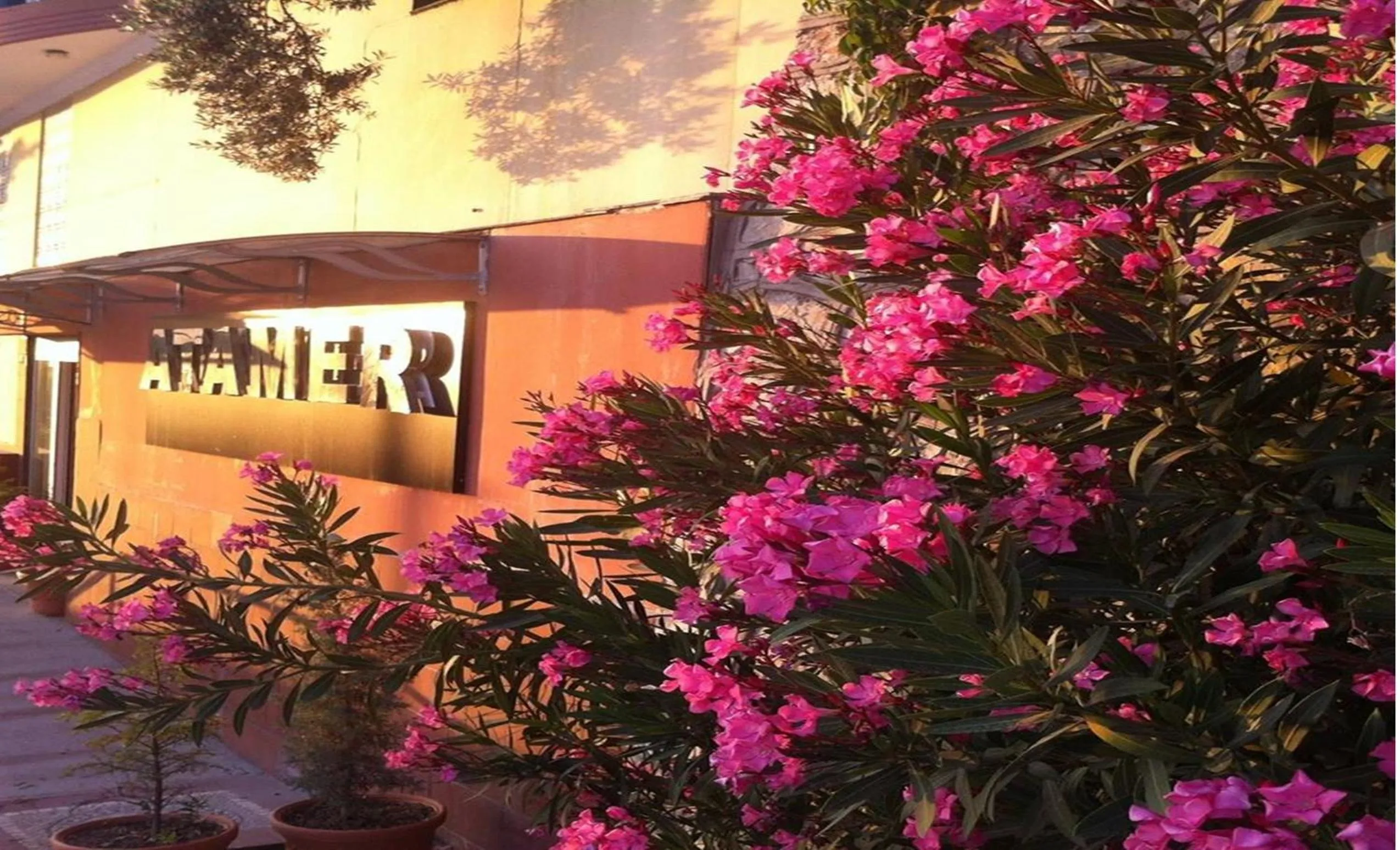 Facade/entrance in Atamer Doga Resort