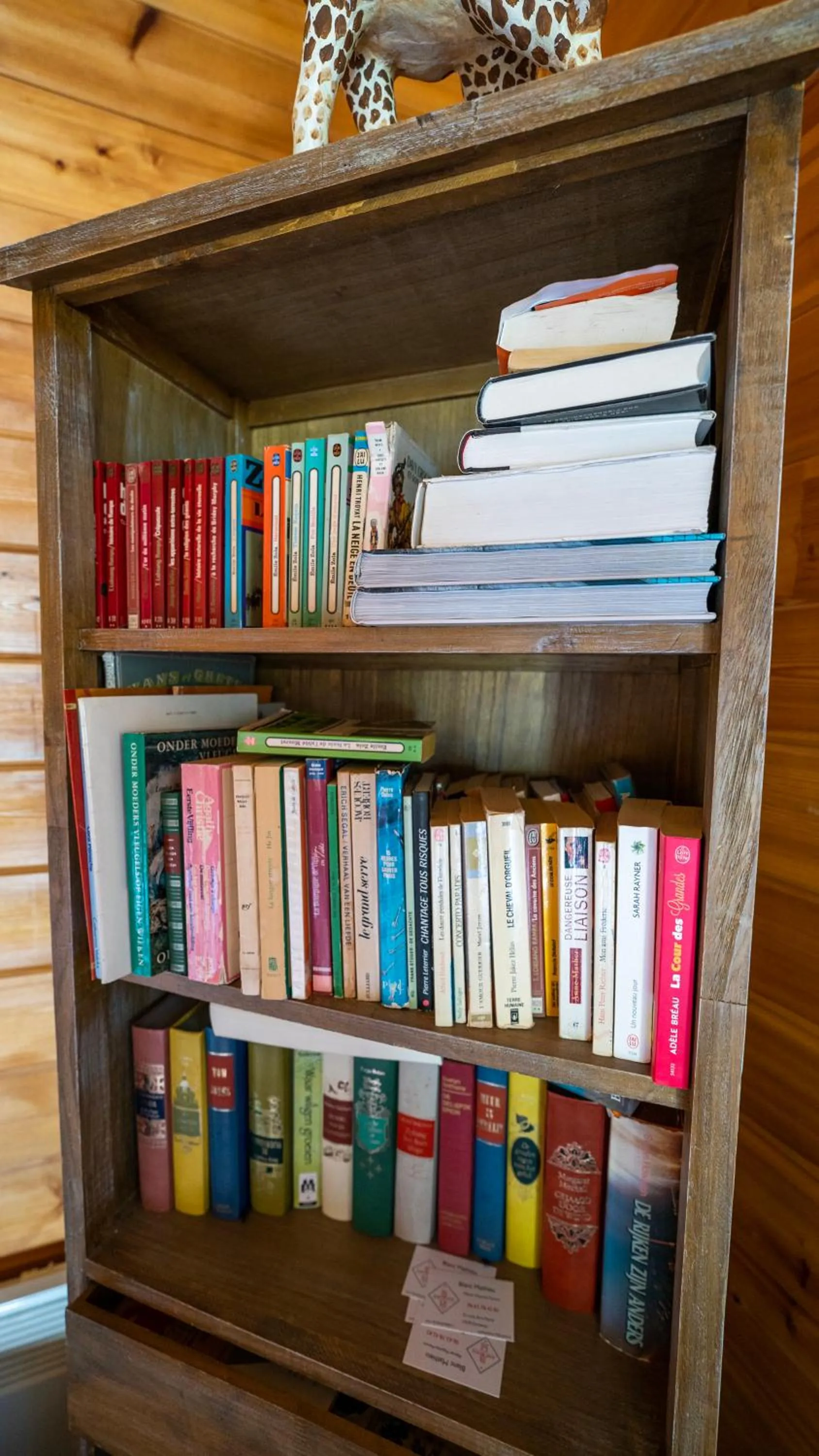 Library in Le Village des Monédières