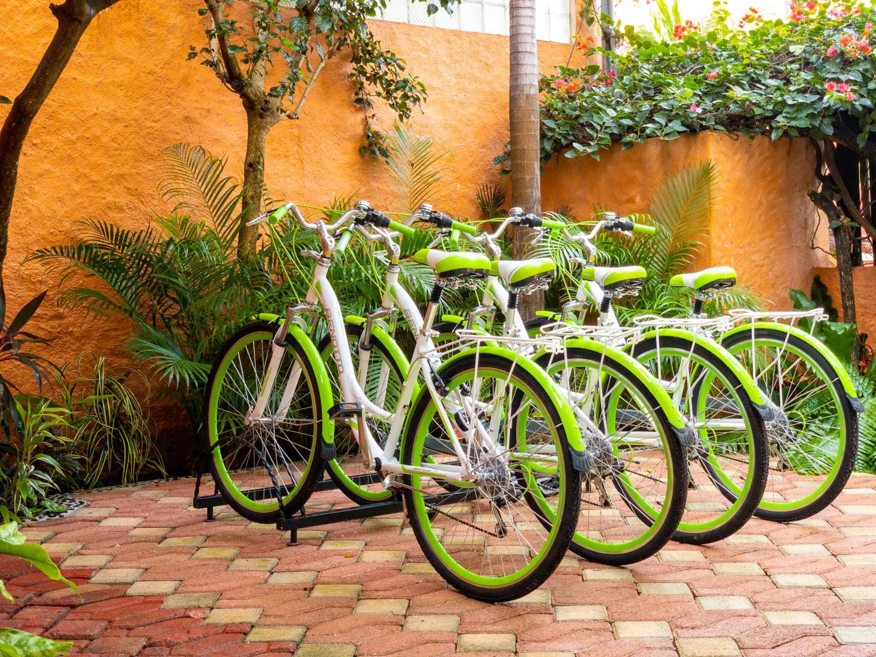 Cycling in Casa Mulder - Steps to Beach Private Pool Ocean-View Roof