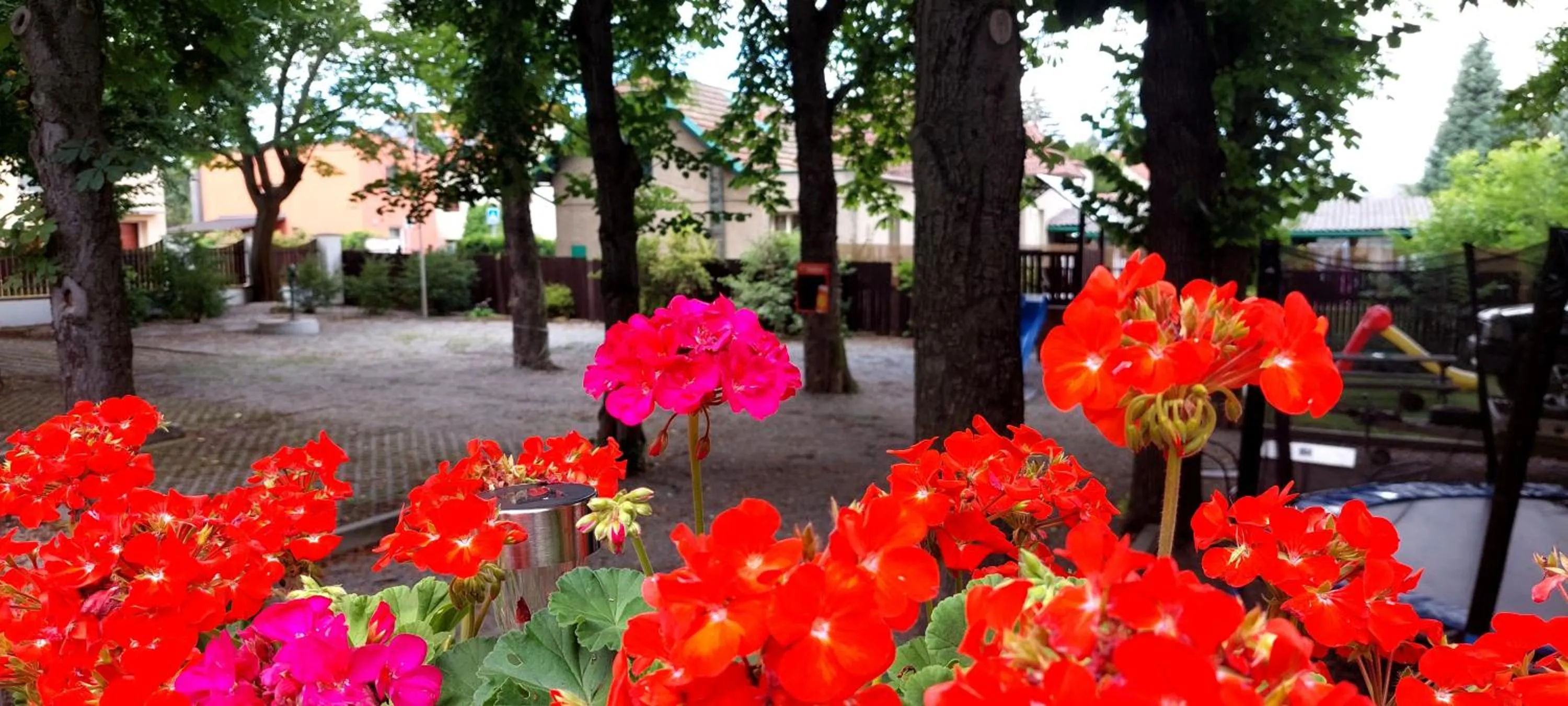 Garden in Hotel Svornost