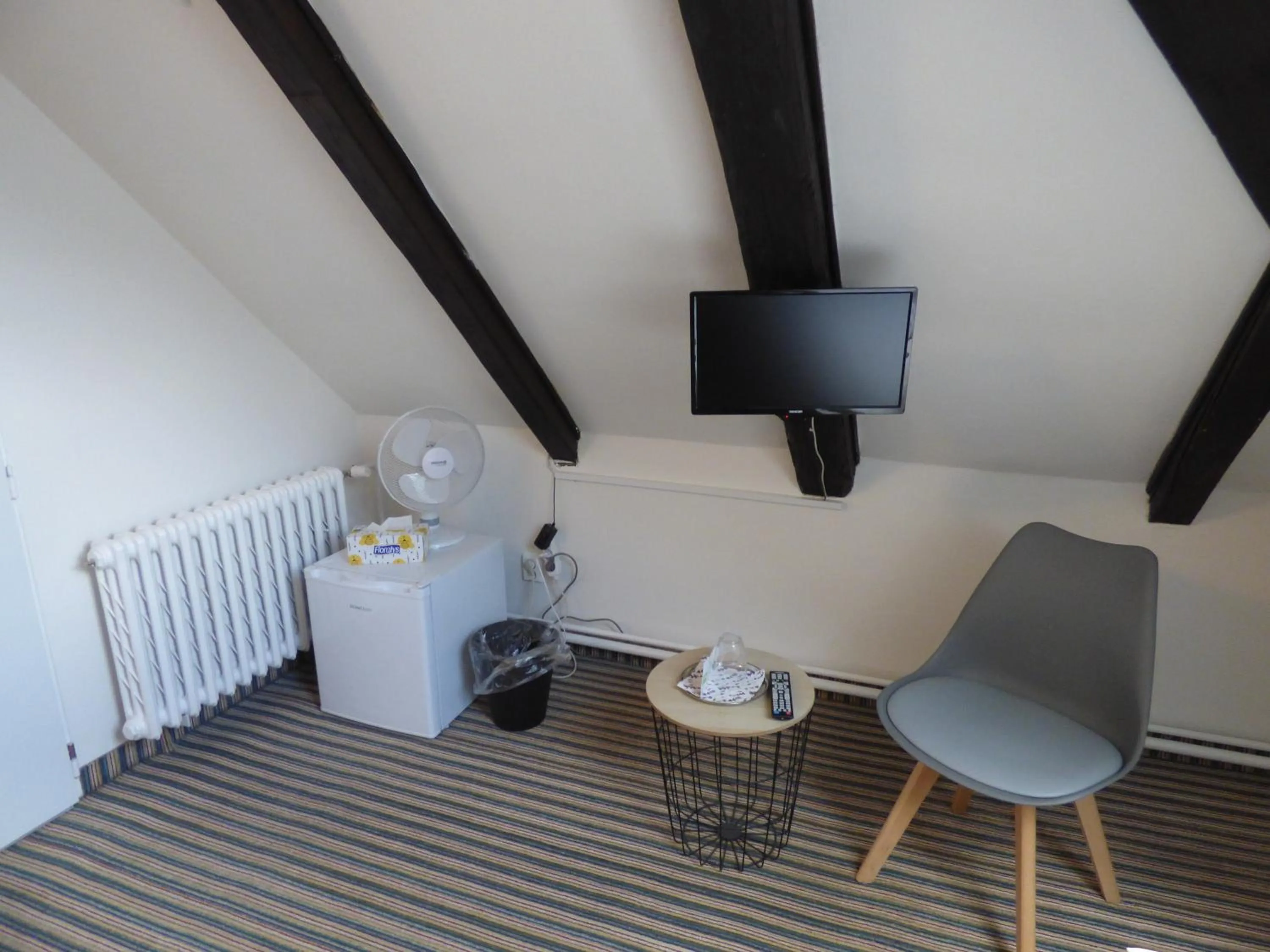 Seating area in Hotel Svornost