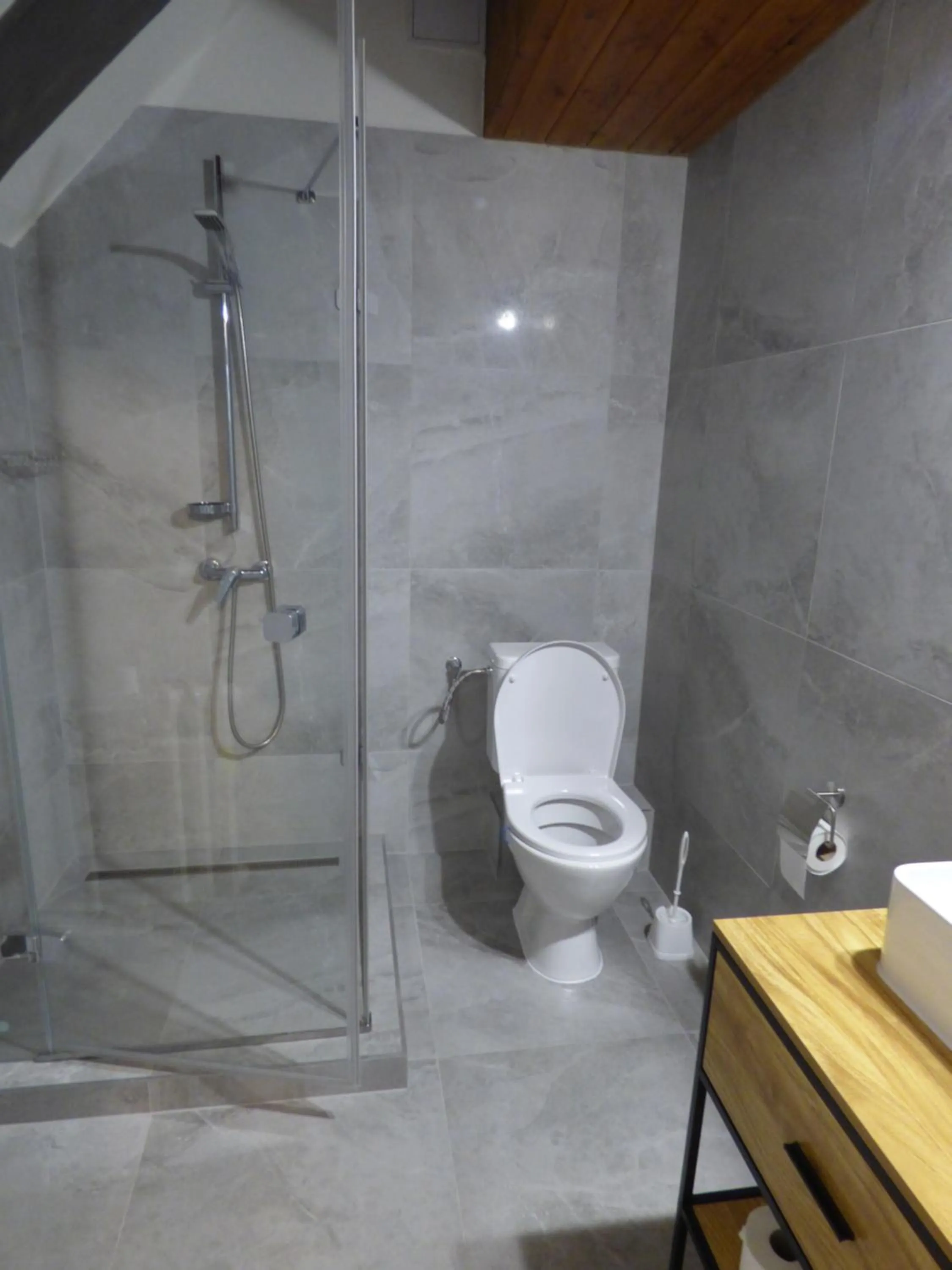 Shower in Hotel Svornost