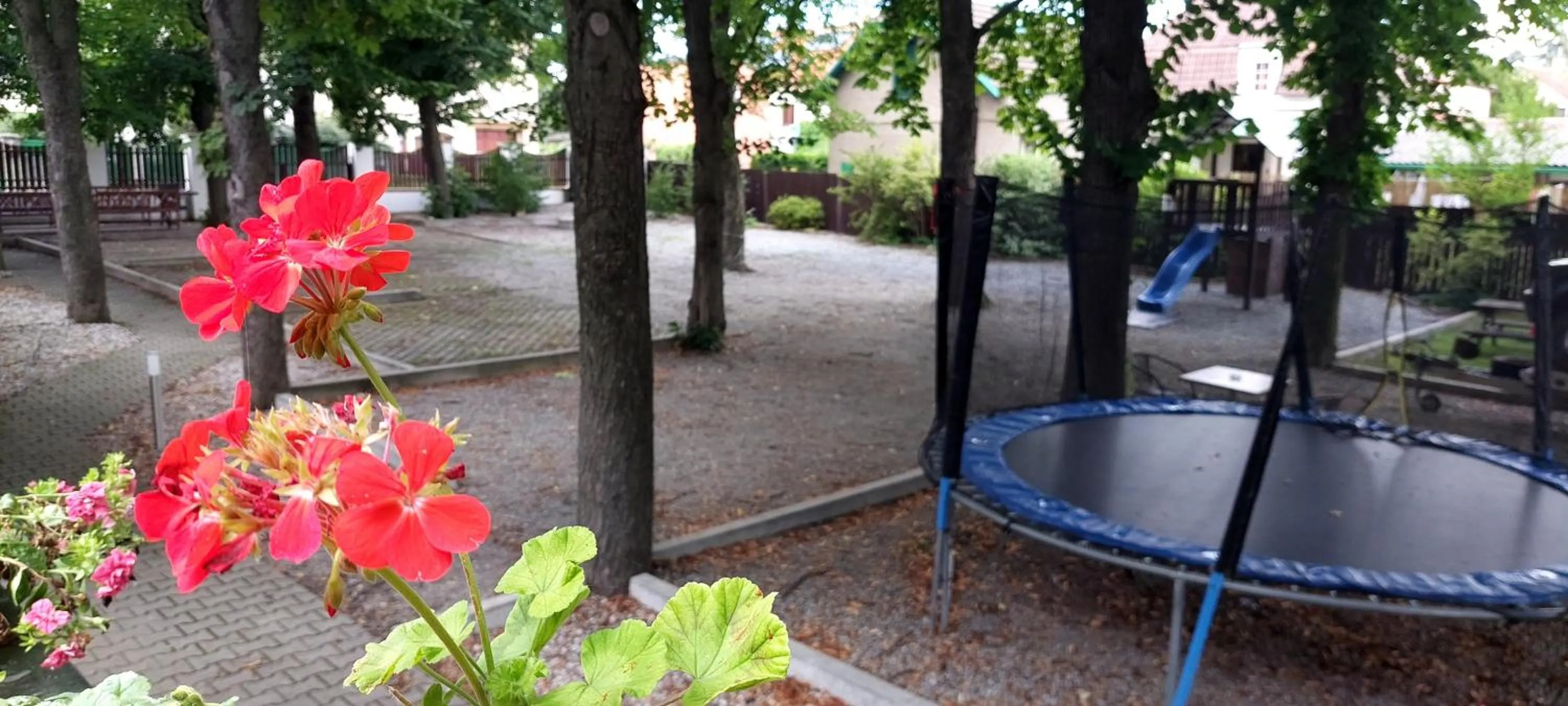 Garden in Hotel Svornost