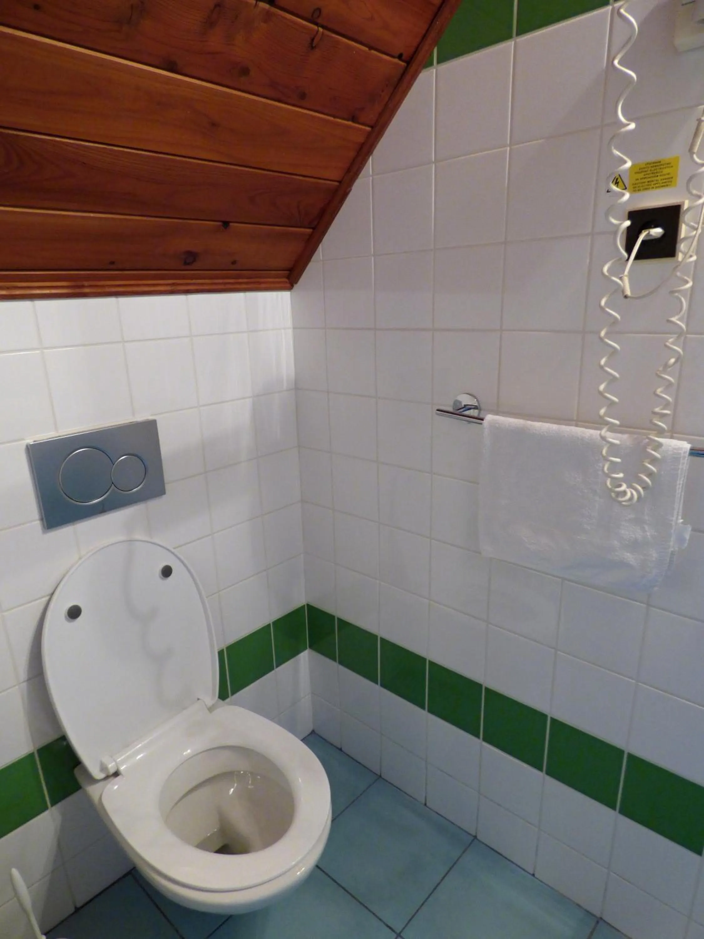 Toilet in Hotel Svornost