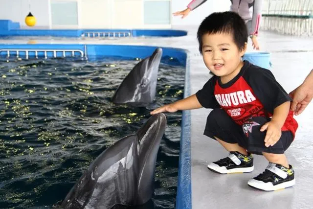 Property building in Shibushiwan Daikoku Resort Hotel