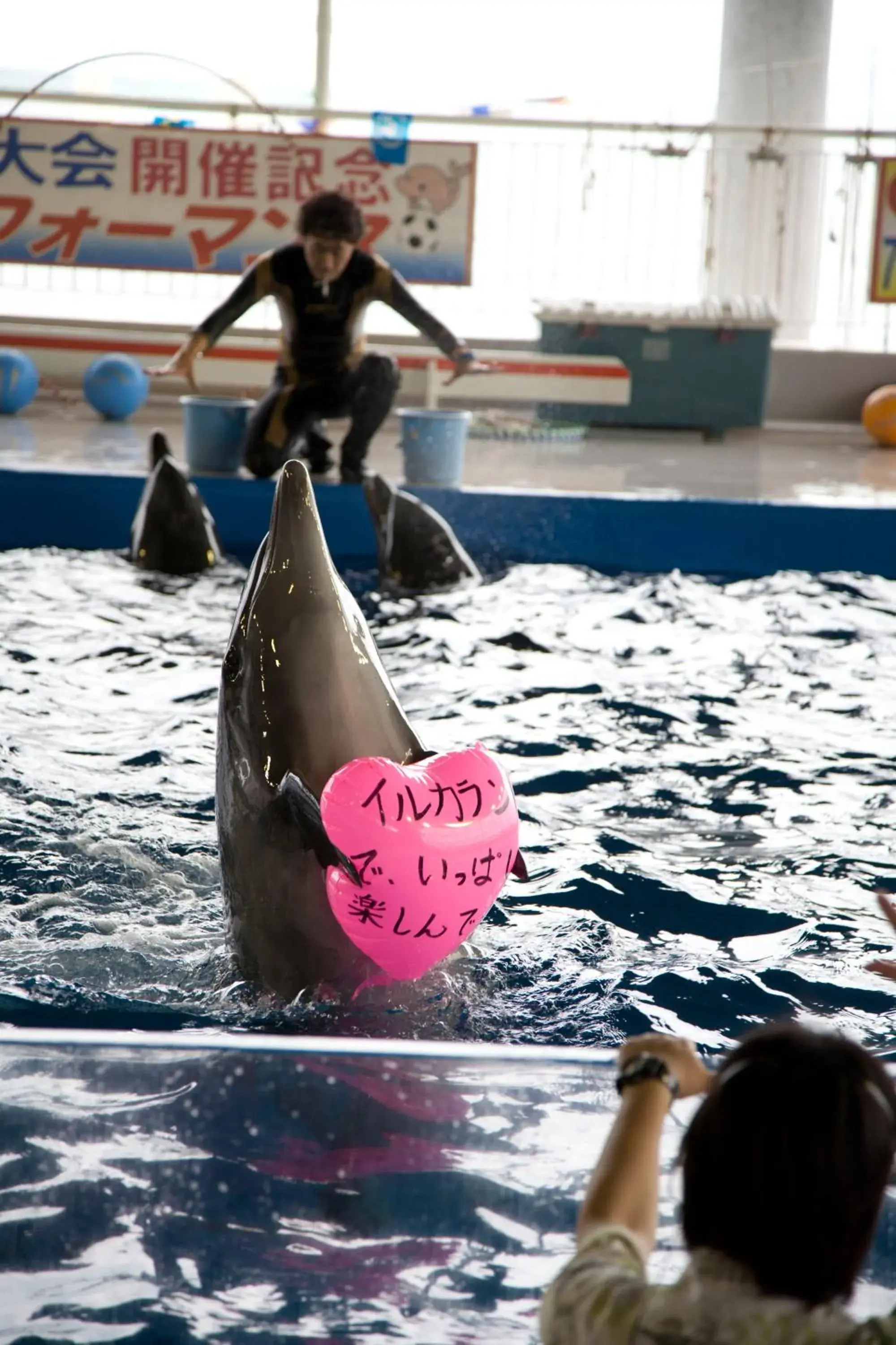 Property building in Shibushiwan Daikoku Resort Hotel Property building in Shibushiwan Daikoku Resort Hotel